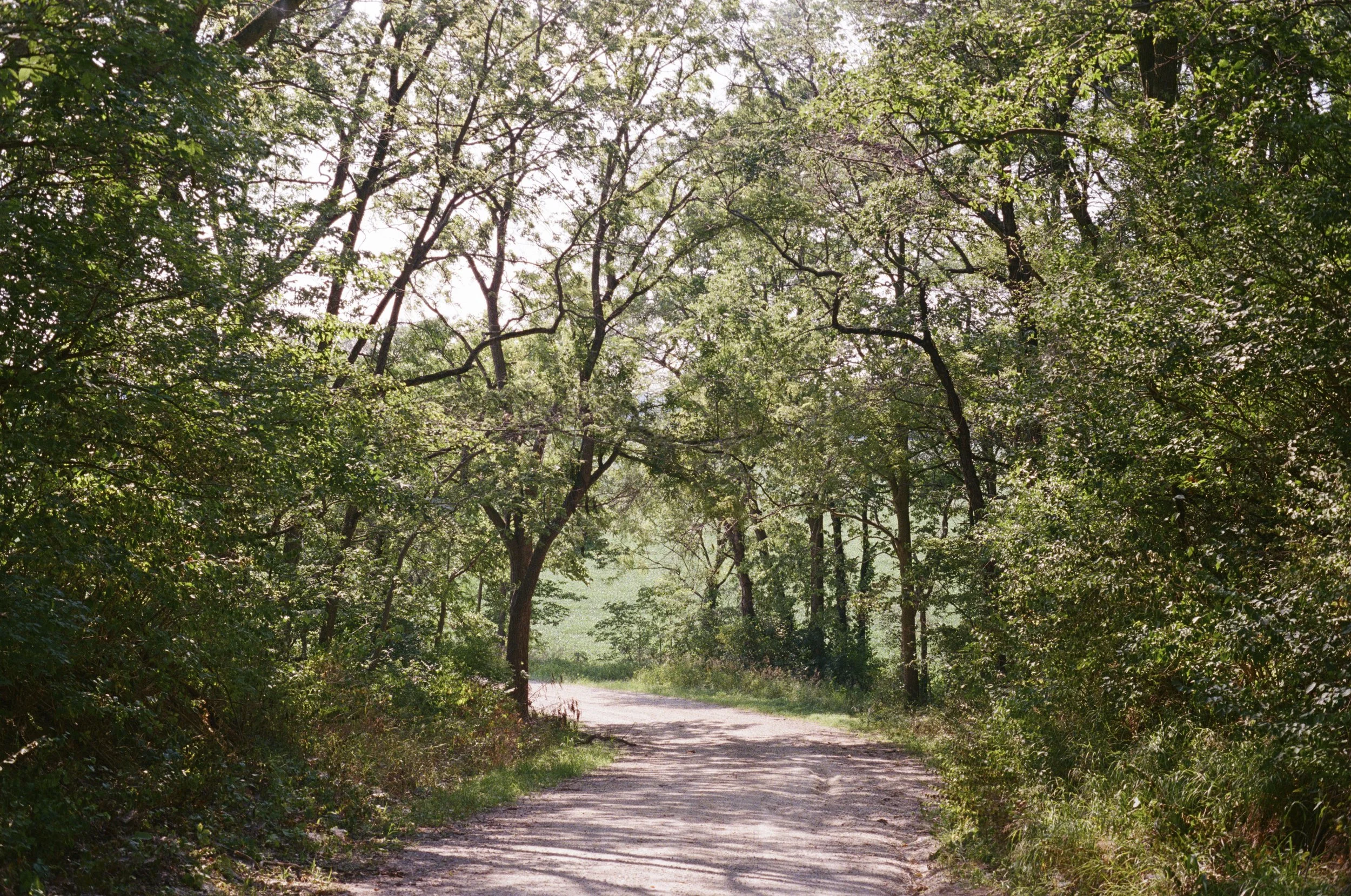 Fuji 400 film stock. County road outside Peru, Indiana. 2025