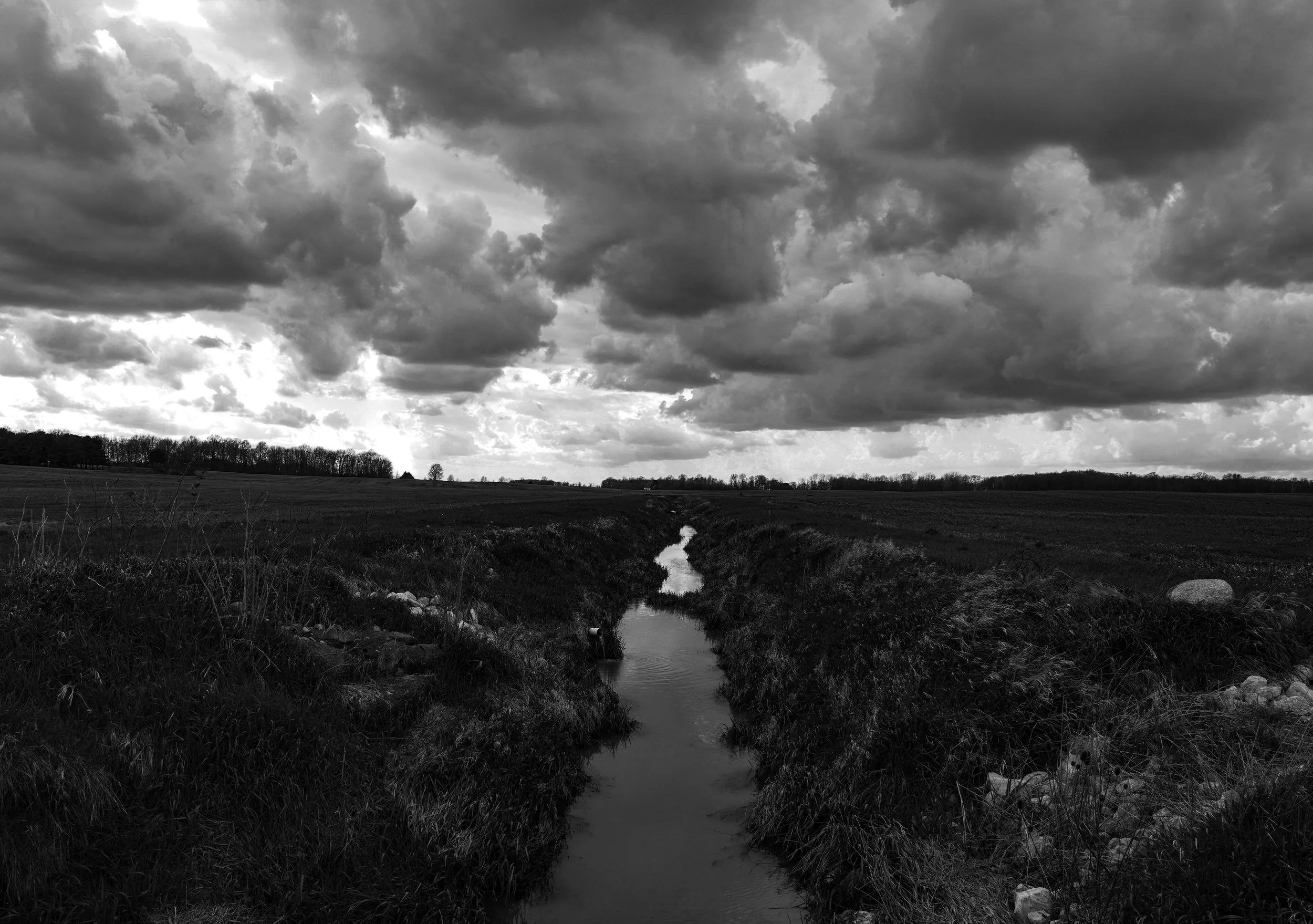 DSC03918 (1).jpg