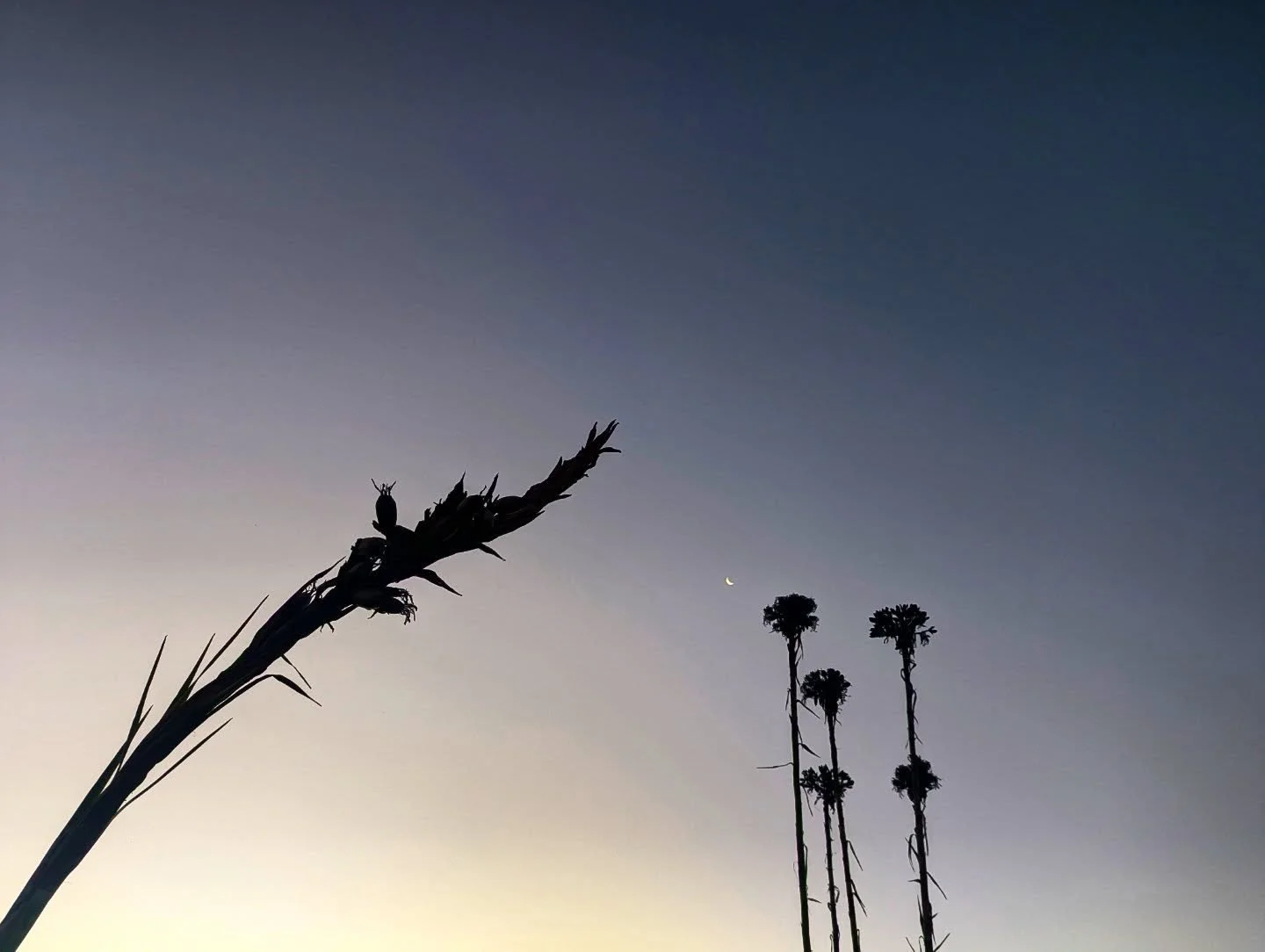 Wishing everybody a very happy and healthy 2026 ✨ am lucky enough to be spending time connecting with some very important people and landscapes this time of year on both Birpai and Yuin country - some of the most beautiful places in NSW to be sure 🖤