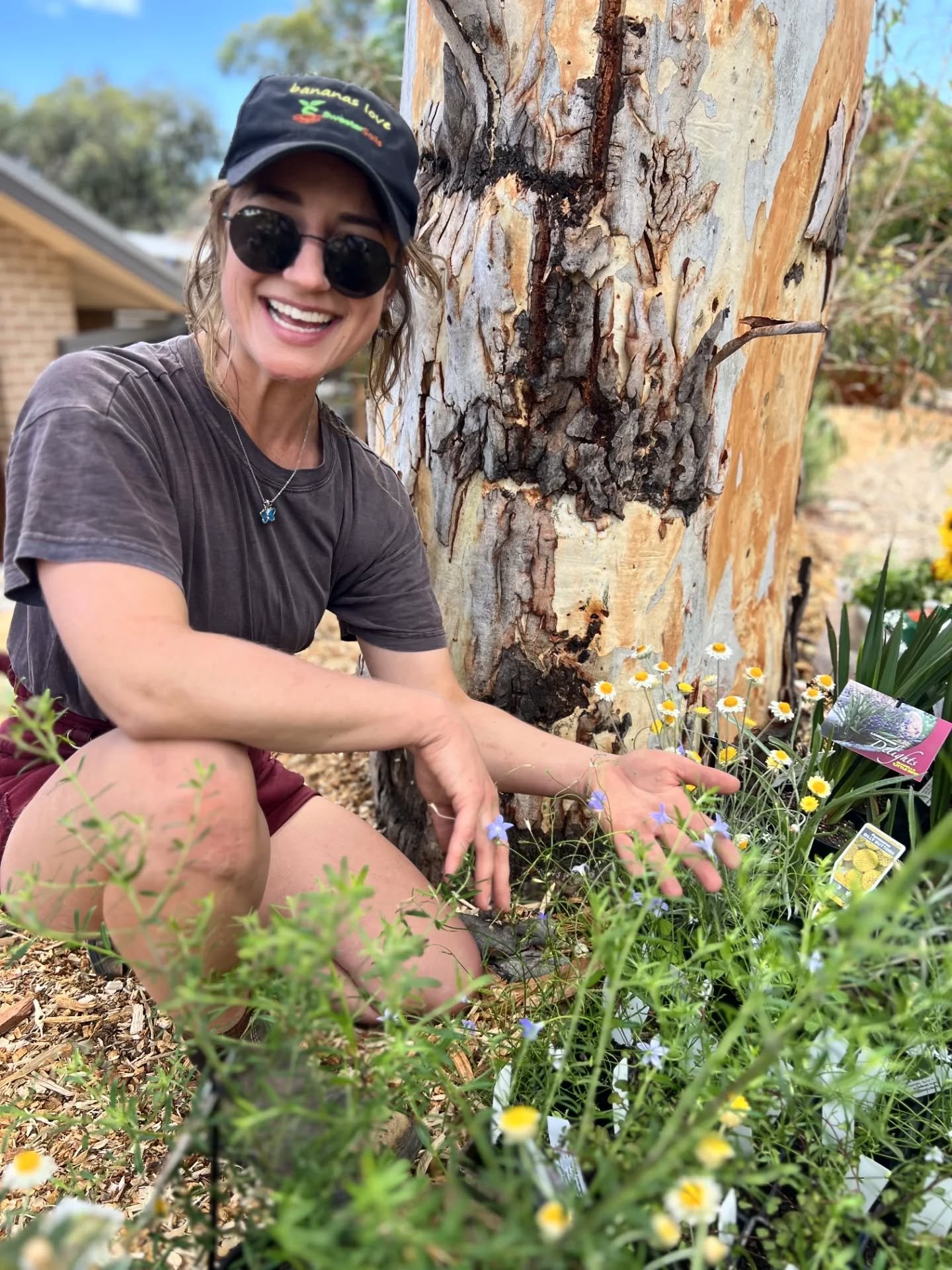 Happy as a wee piggy in the mud 🐷🌱 beautiful wildflowers courtesy of @coolcountrynatives including Wahlenbergia, Xeroxhrysum 'Lemon Monarch', and Leucochrysum albicans. All the blossoms in this scheme are offset by lots of grasses, including Poa si