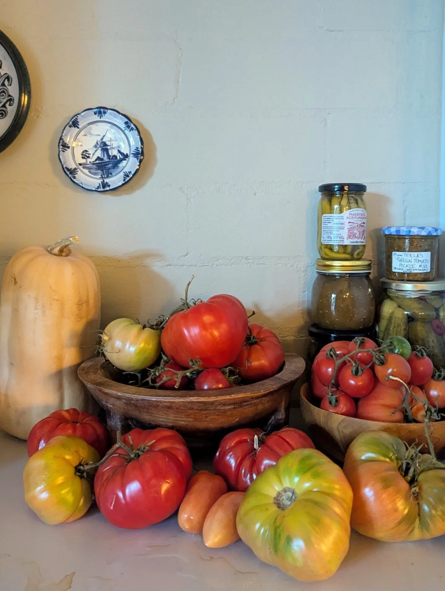 Late autumn decor, prettier than anything Kmart can provide 🏵️🍂🍁🌶️🍅 pickles made by my lovely Da, as per the recipe passed from his mum, Tekla 🇱🇻. Da has spent the majority of the last month or so pickling chillis, tomatoes, cucumbers, making 