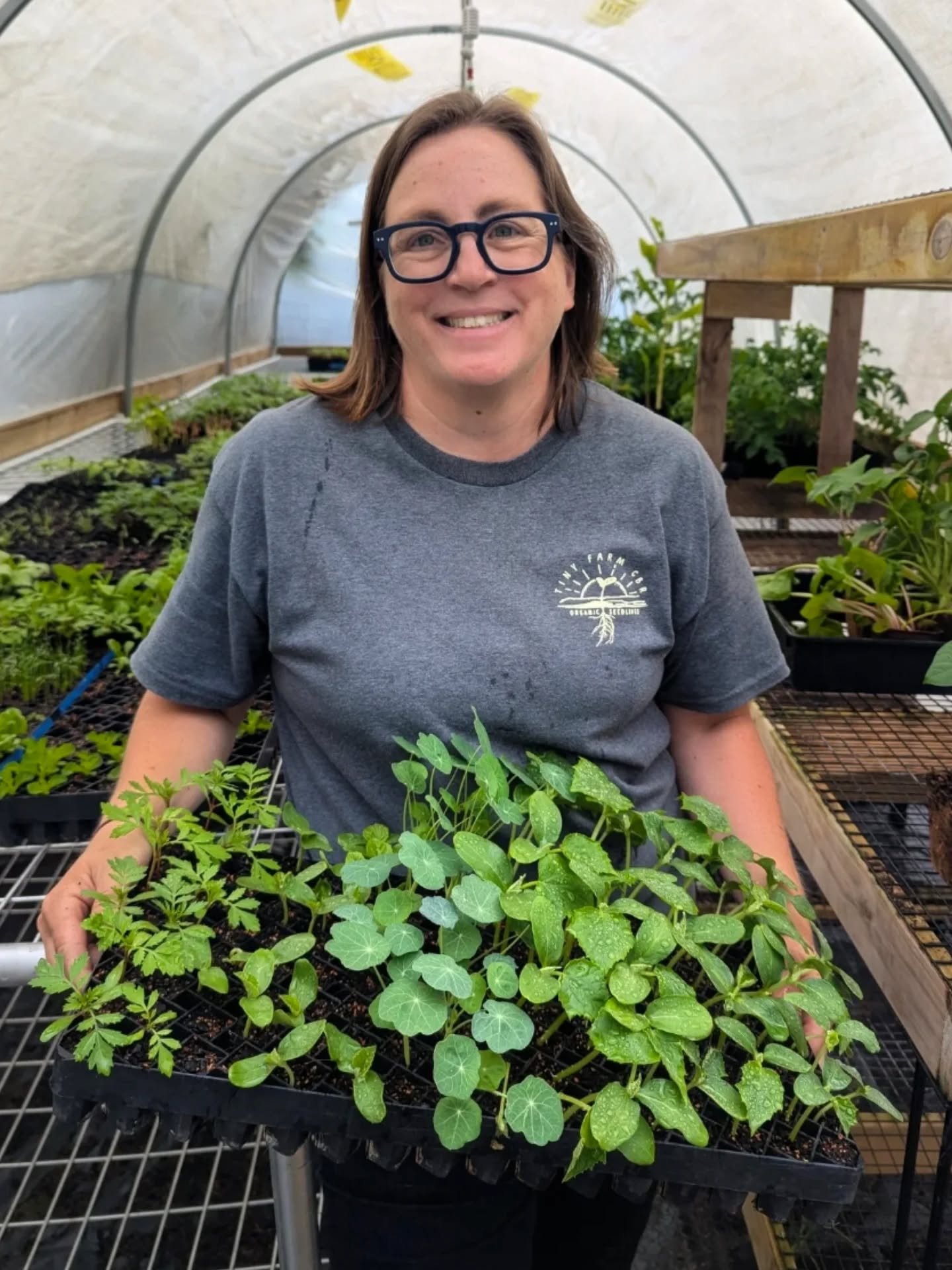 Stoked to share the first iteration of our Bluebell Field Notes - a place to visit to find inspiration, resources, and amazing Canberra locals who live and work by their values 🌱🪏 @tinyfarmcbr was always going to be the first - Holly is the kindest