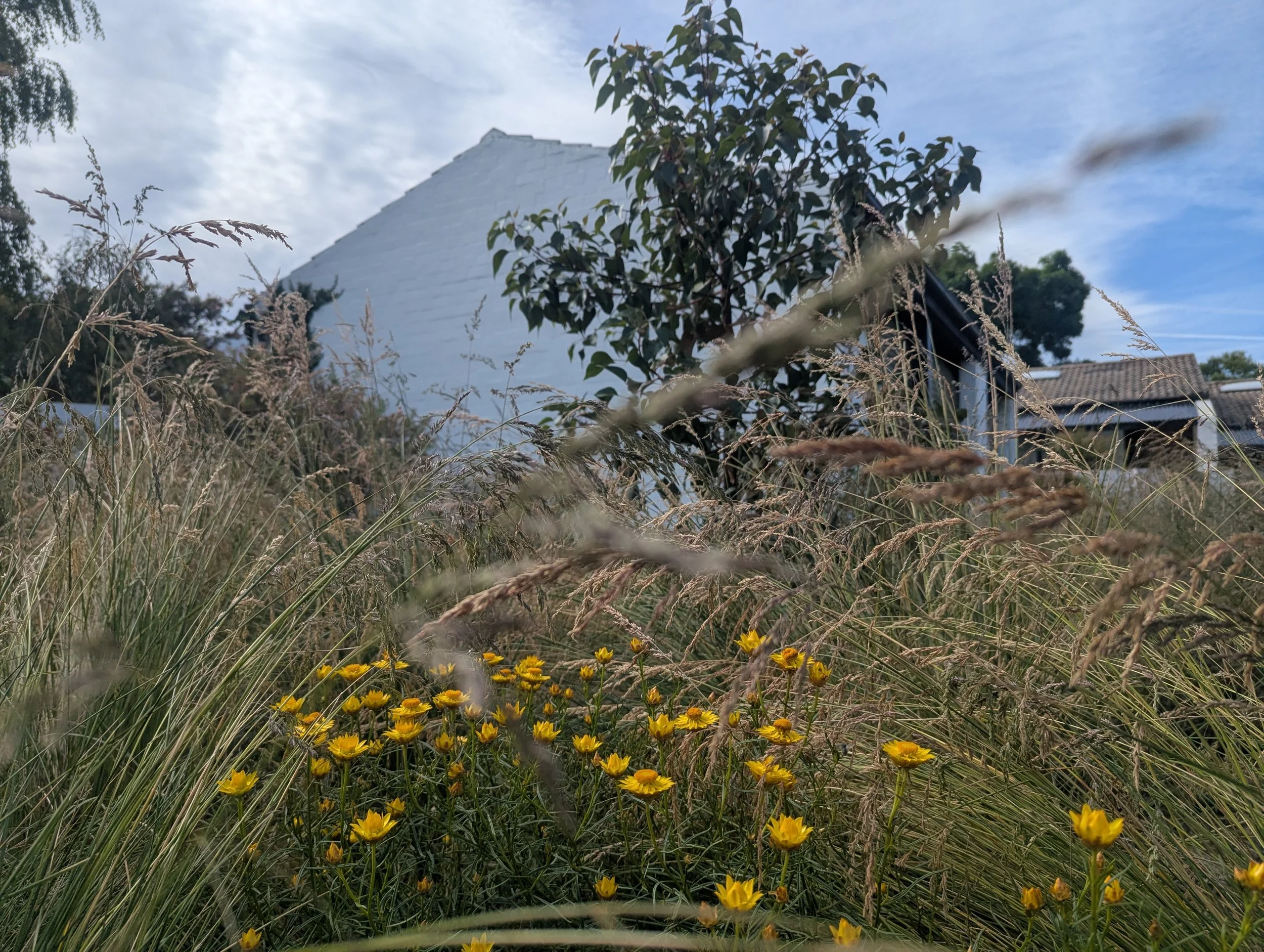 Hawker Body Corp Garden Renewal, Phase I, 2024/25