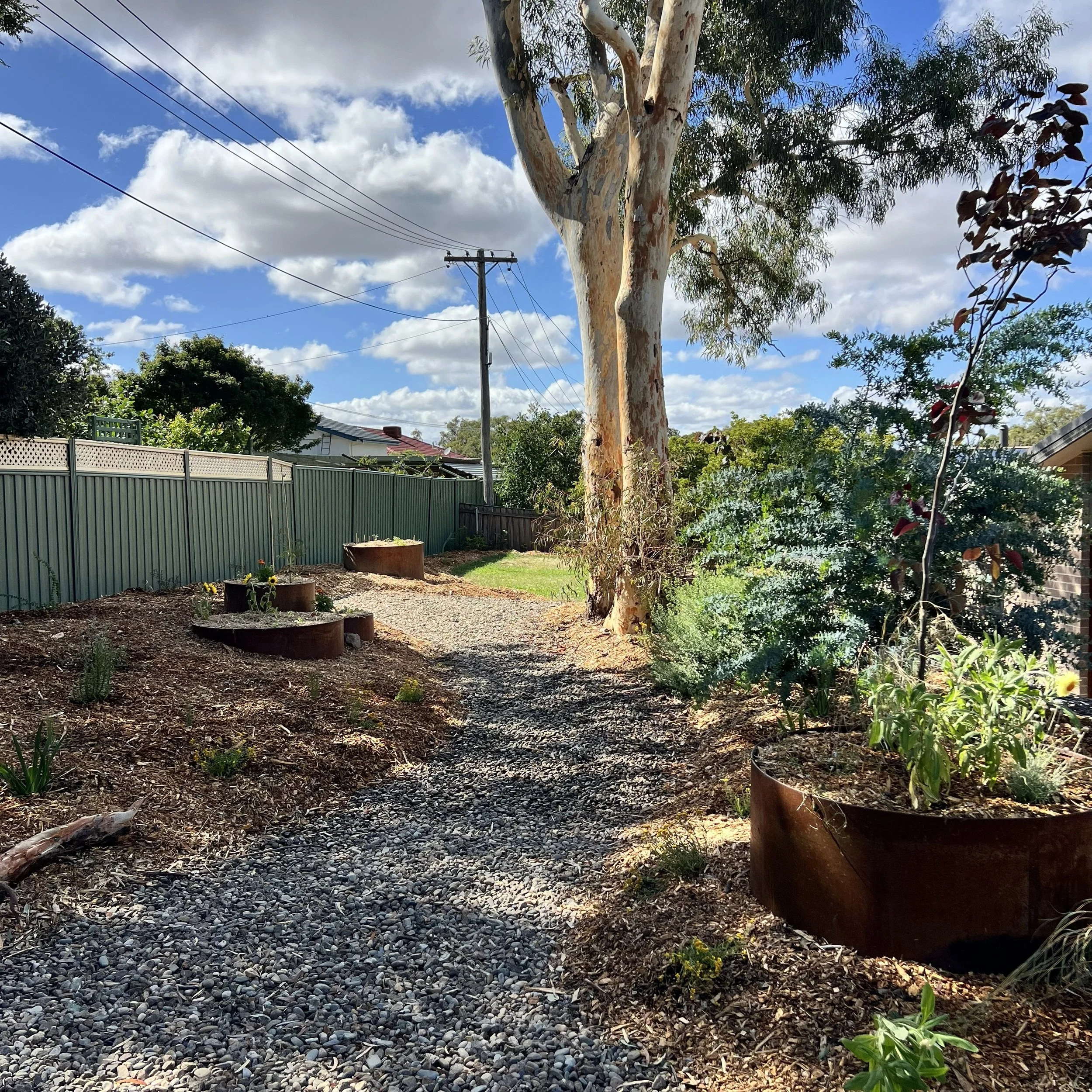 Canberra garden in Flynn after landscape design with Bluebell Horticulture Studio