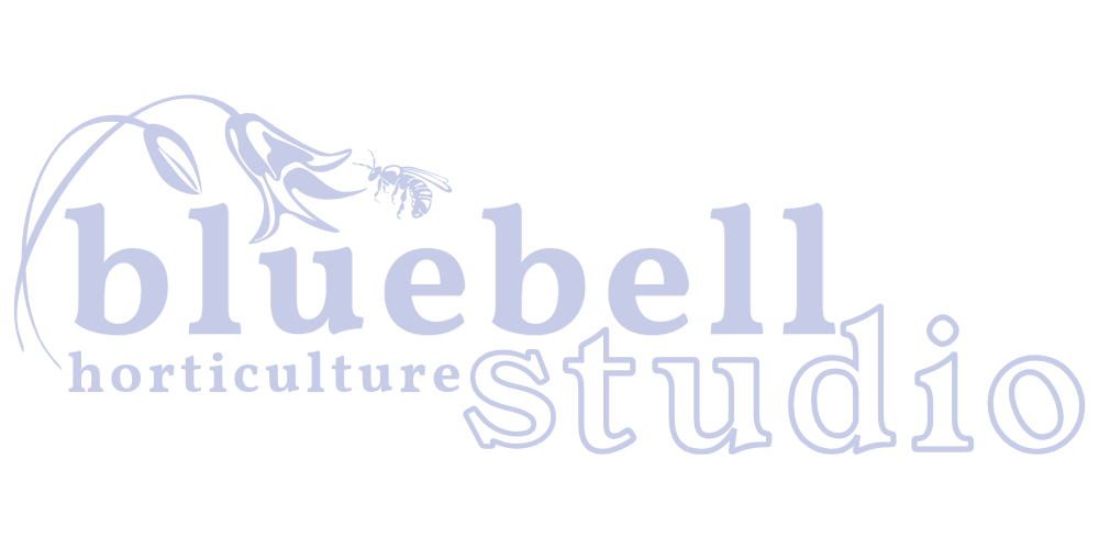 Logo for Bluebell Horticulture Studio with a stylized bluebell flower and text in light purple and black.