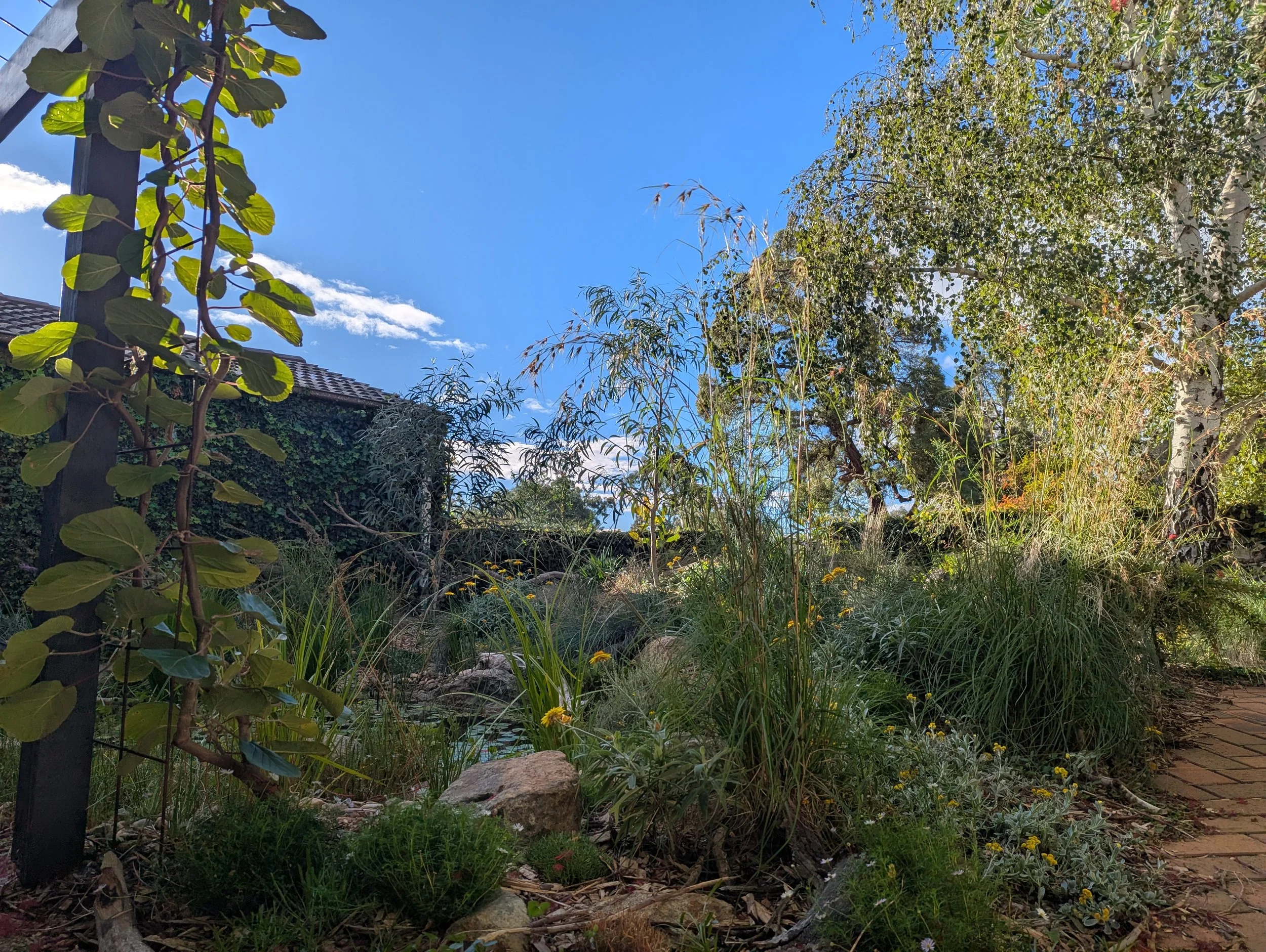 Jinka Falls, 2022/23