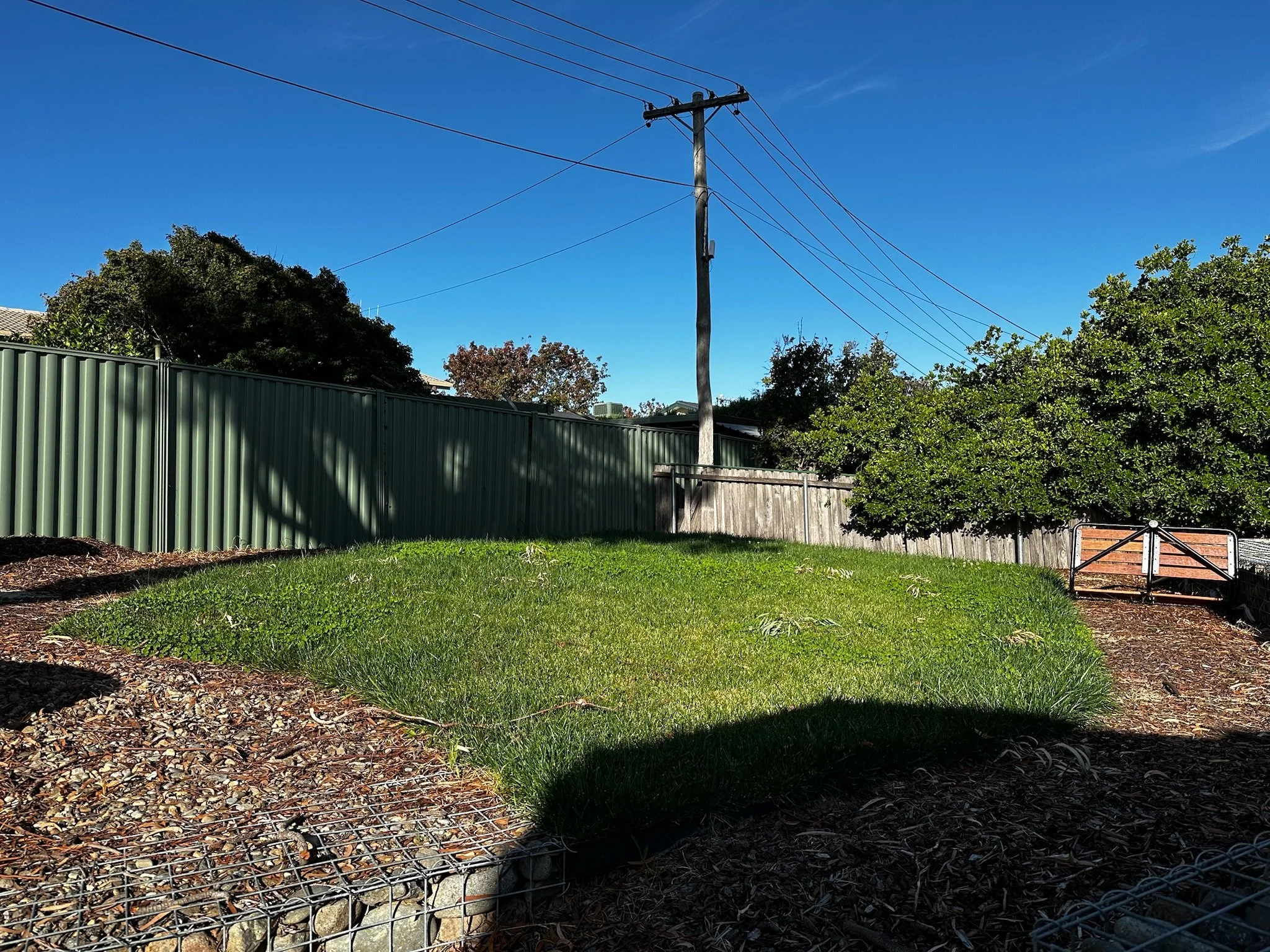 Canberra garden in Flynn before landscape design
