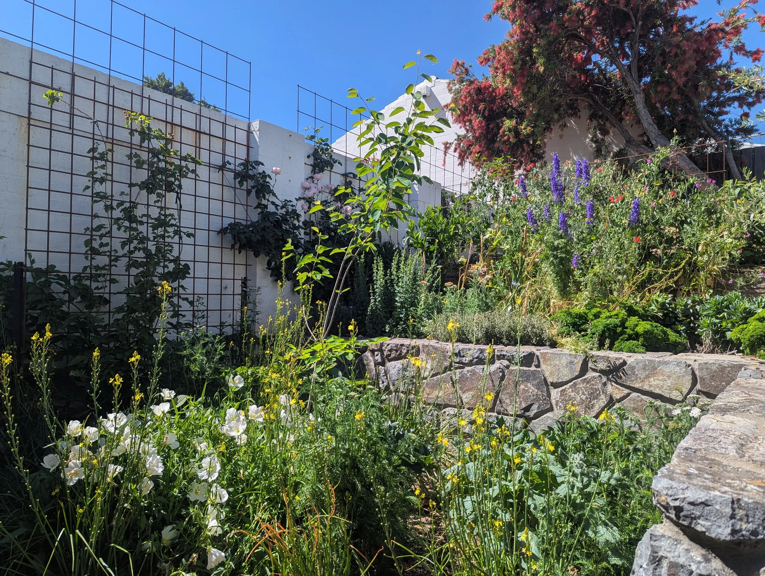 Aidan's Kitchen Garden, 2023/24