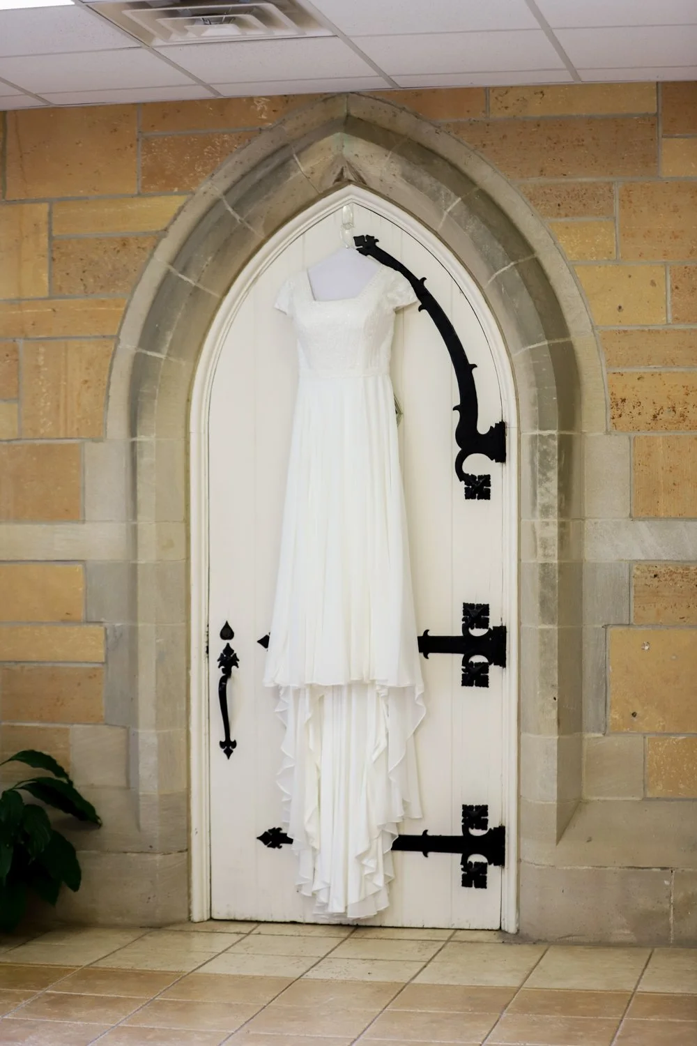 Ptacek_Wedding_Gallery-2.jpg