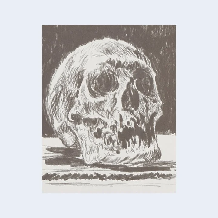 zineskull.jpg