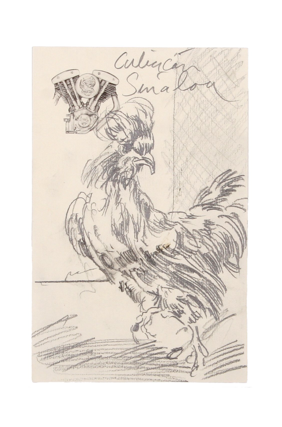Untitled (Culiacan Gamecock)