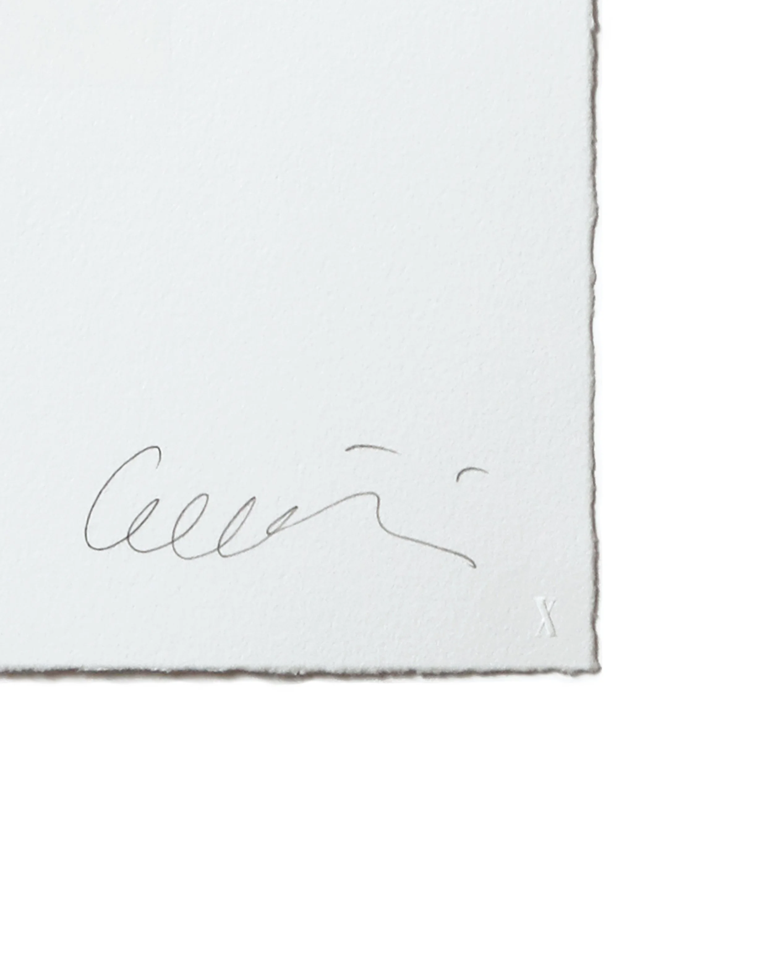 PAPER_DETAIL_BrandXEditions_ErikBrunetti.jpg