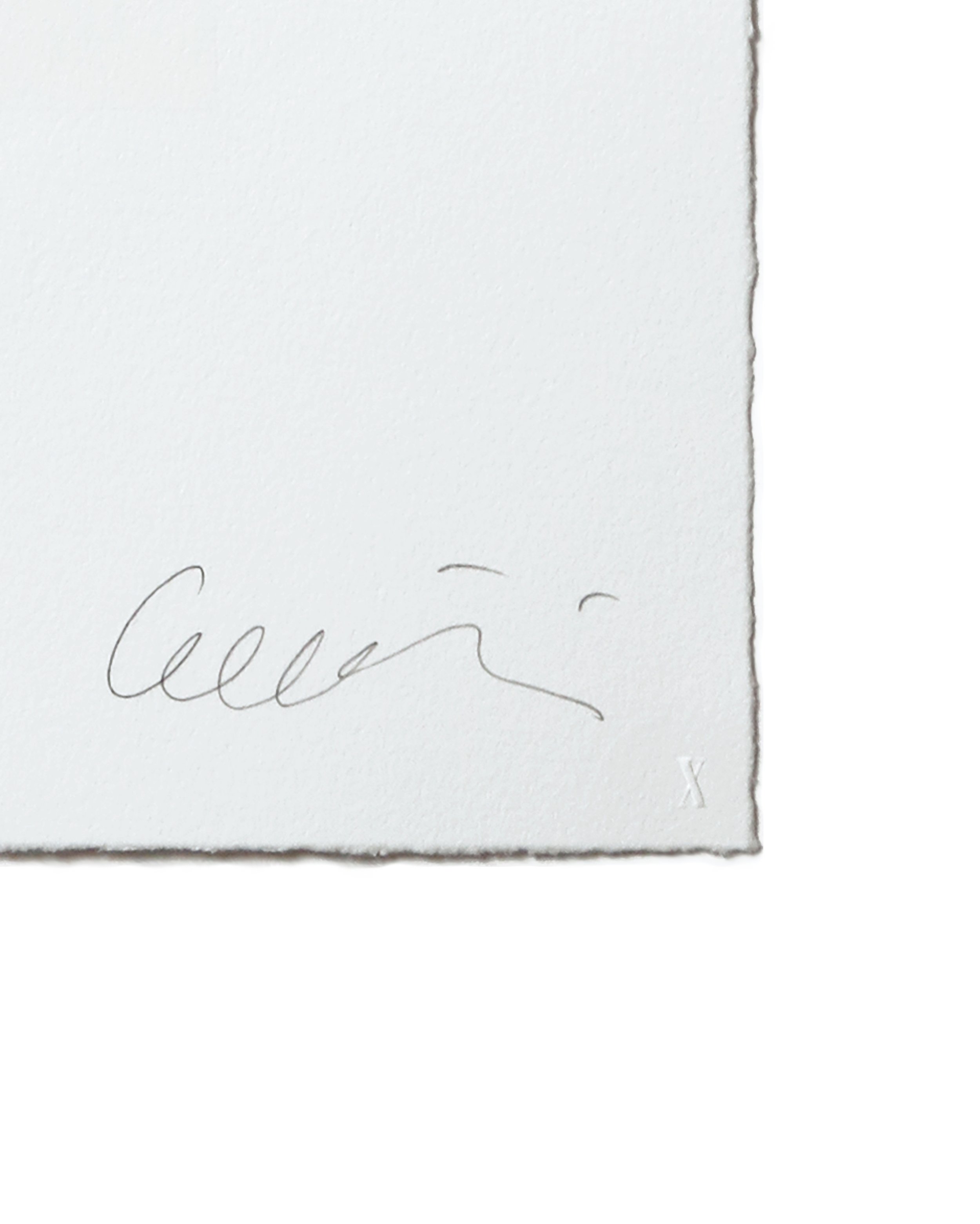 PAPER_DETAIL_BrandXEditions_ErikBrunetti.jpg
