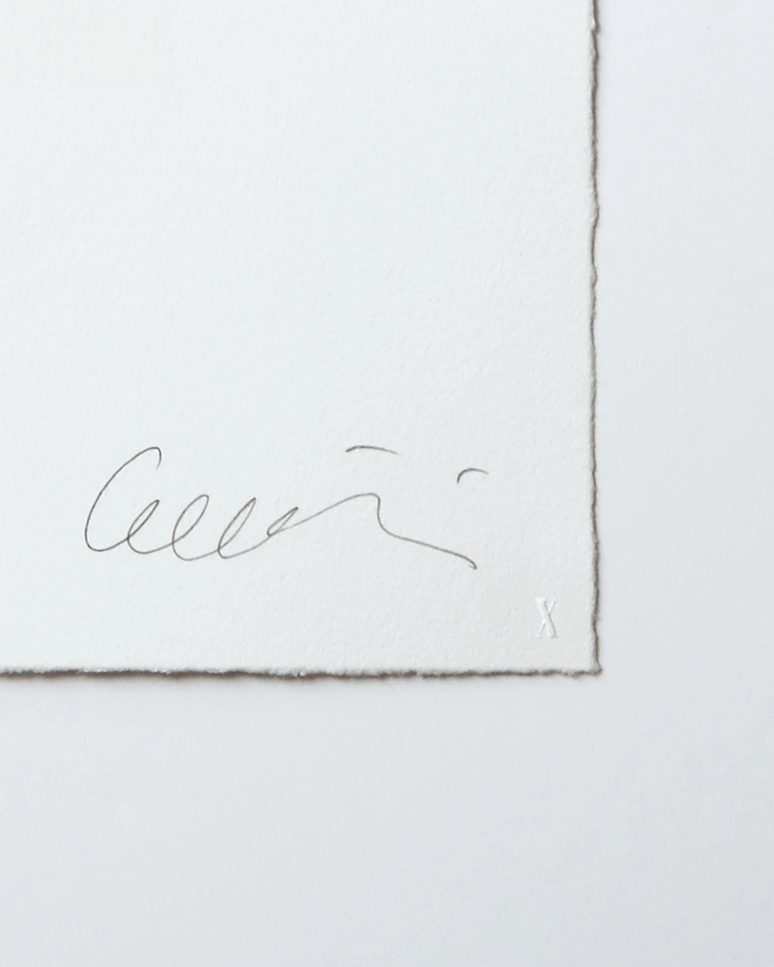 PAPER_DETAIL_BrandXEditions_ErikBrunetti.jpg
