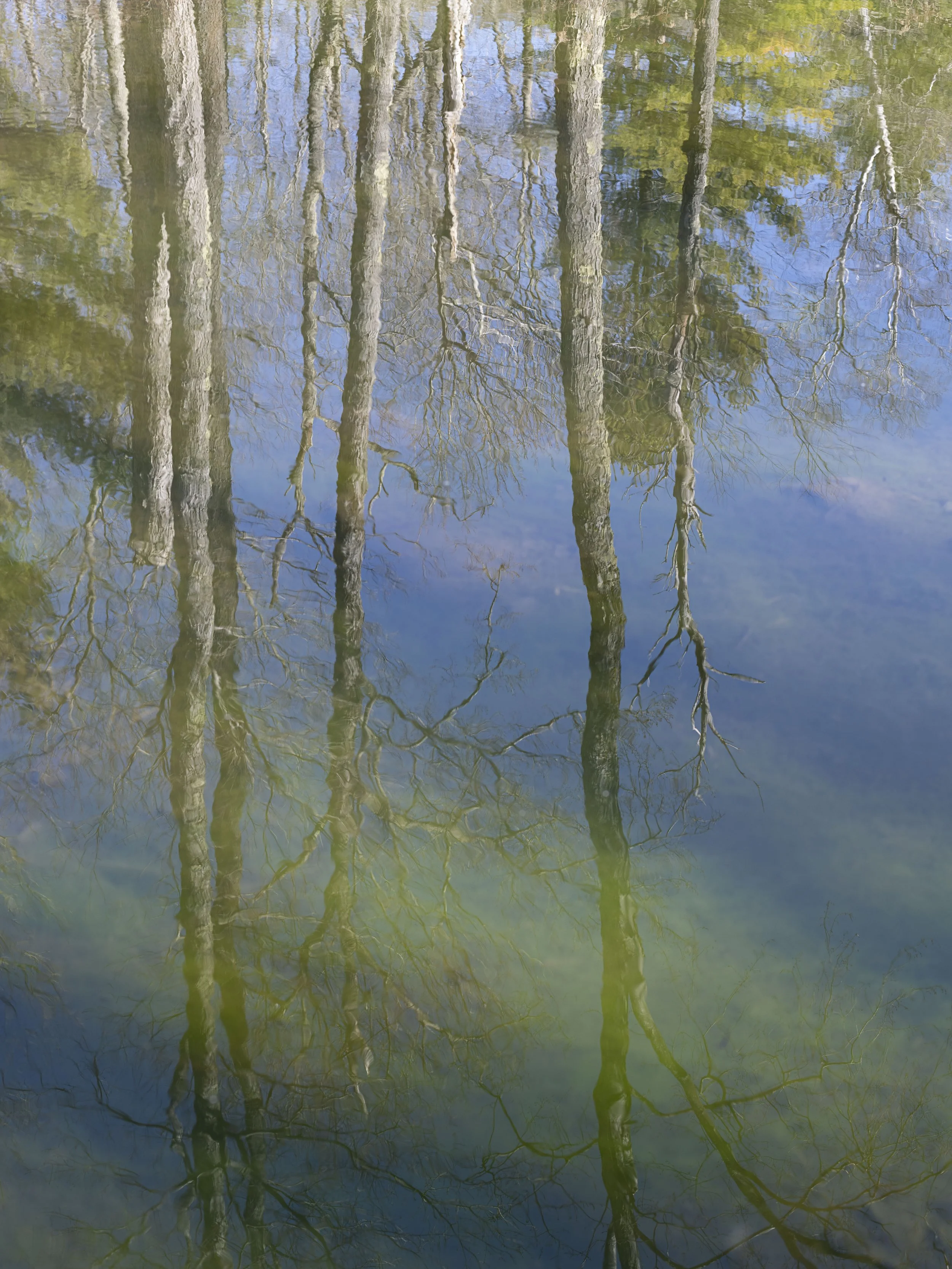 2025-03-18-hud-self-beebehill-emily-135-1 copy.jpg