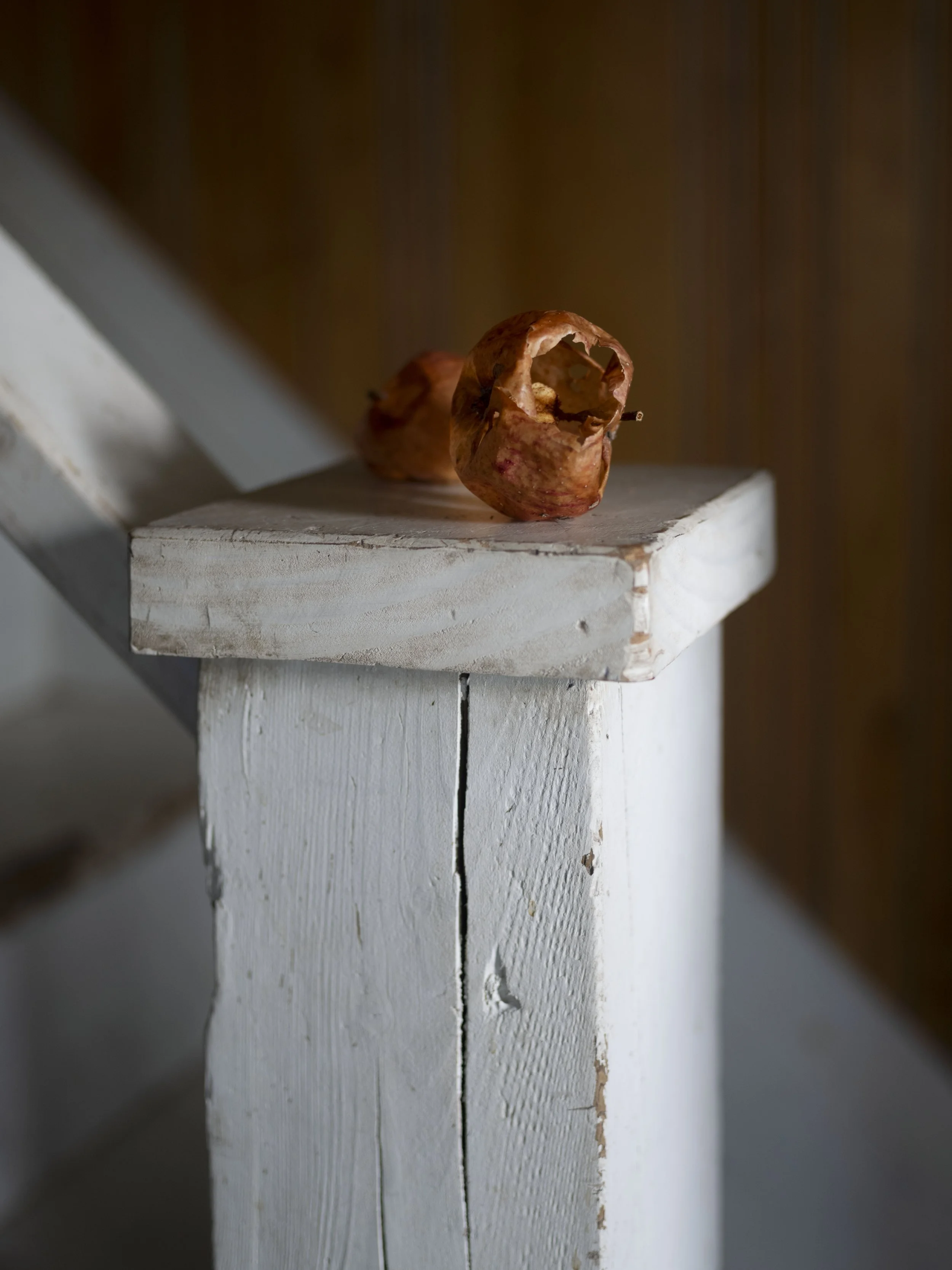 2025-09-21-beebe-home-aspen-131-1 copy.jpg