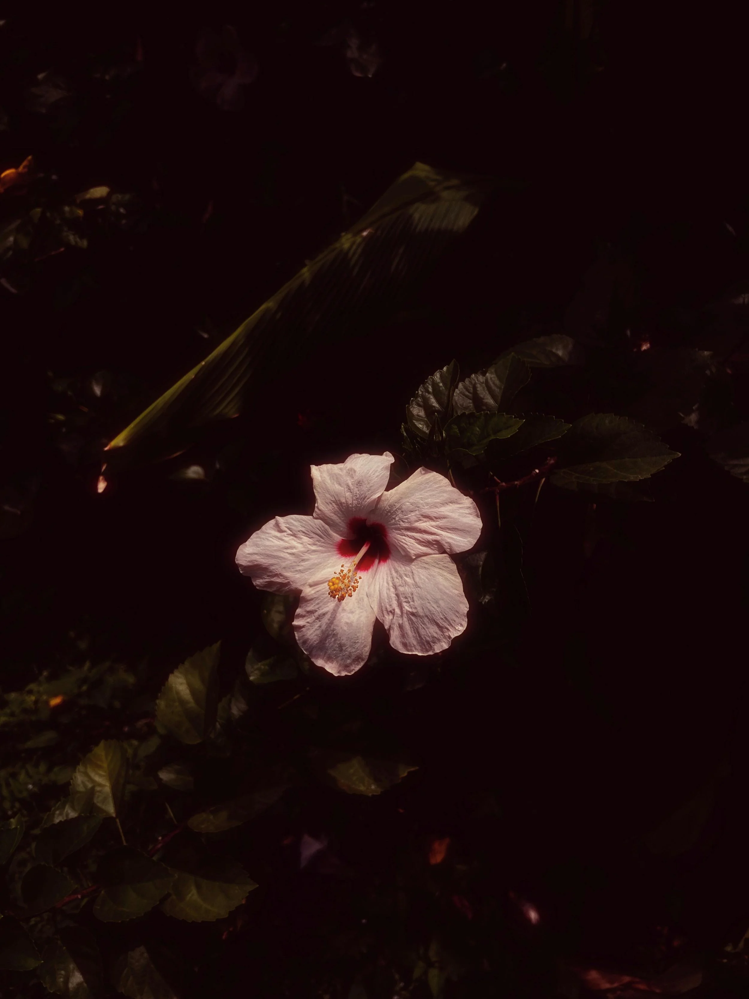 Turning the Page: What It Actually Takes to Begin Again