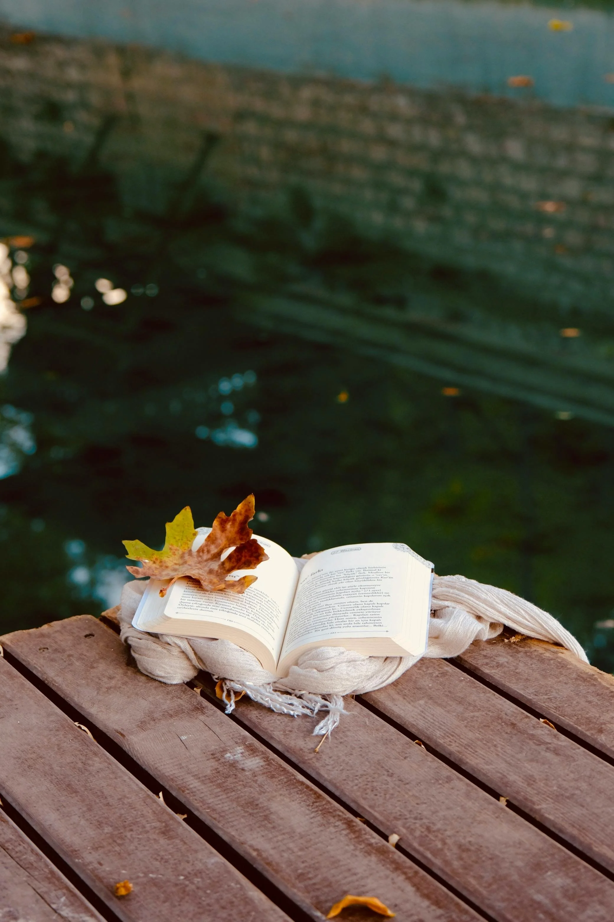 Self-Compassion, Self-Care, and Self-Nurturance: What's the Difference, and What Do You Really Need?