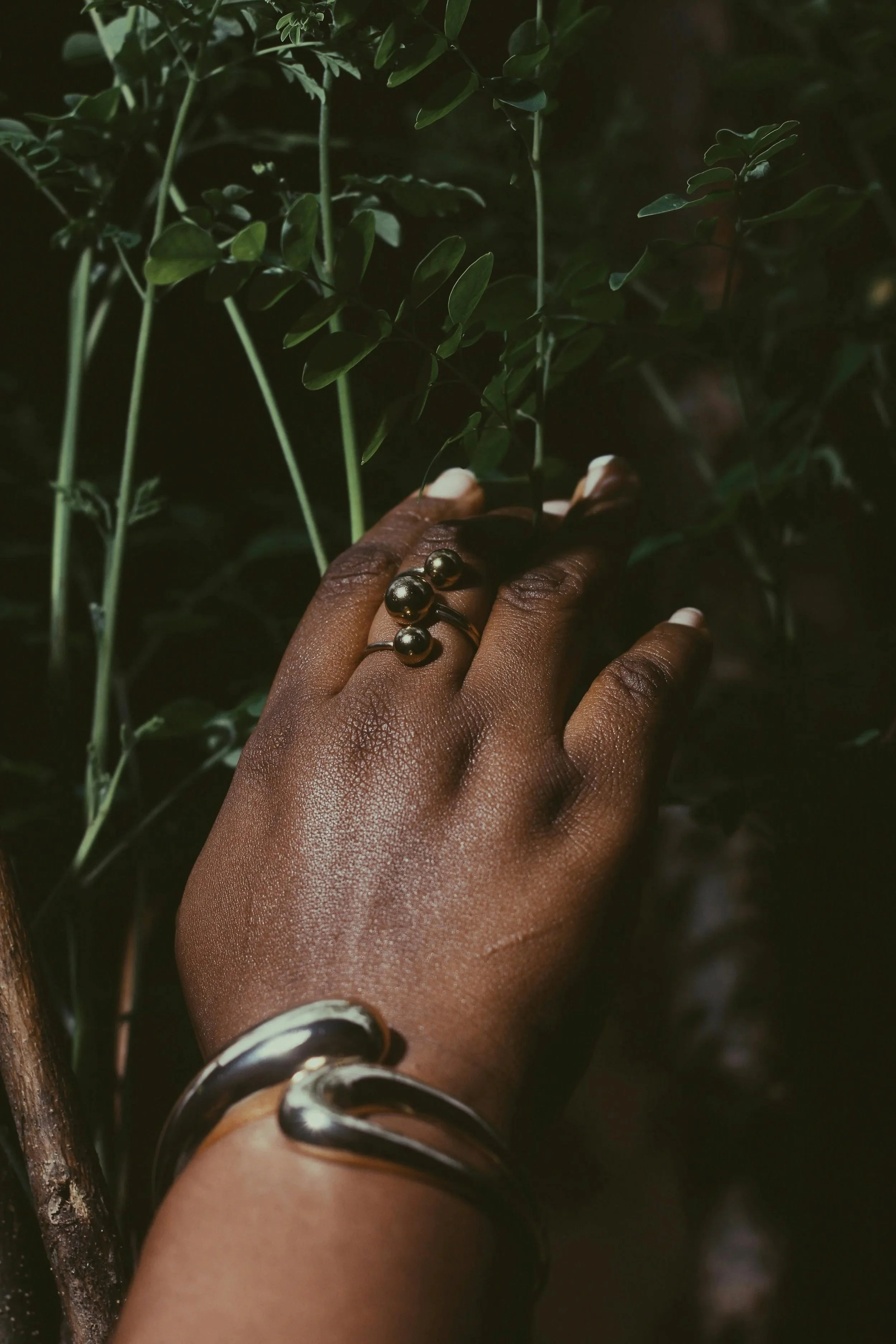 Close-up of a Black hand adorned with a gold ring and silver bangle resting on greenery