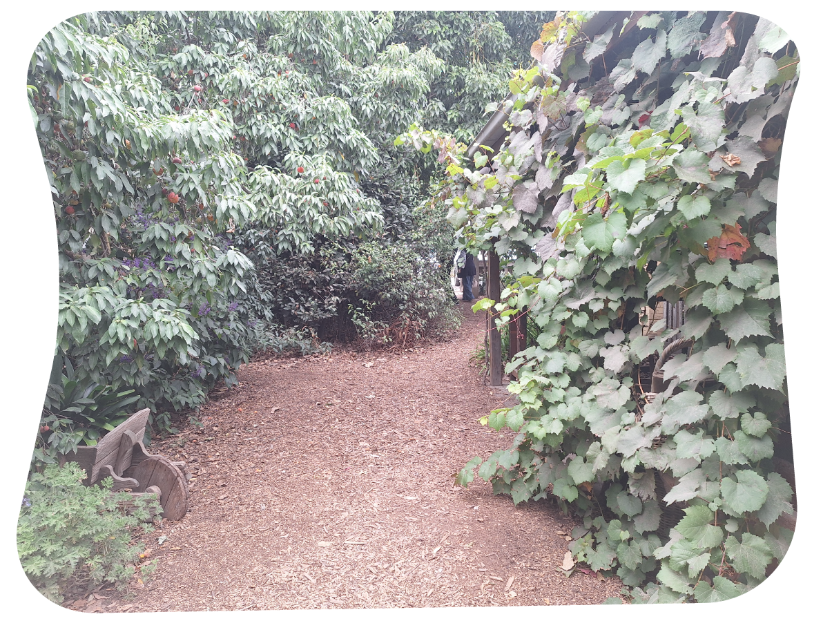 offcuts-ola--20.png
