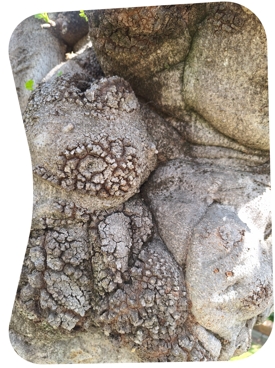 offcuts-ola--24.png