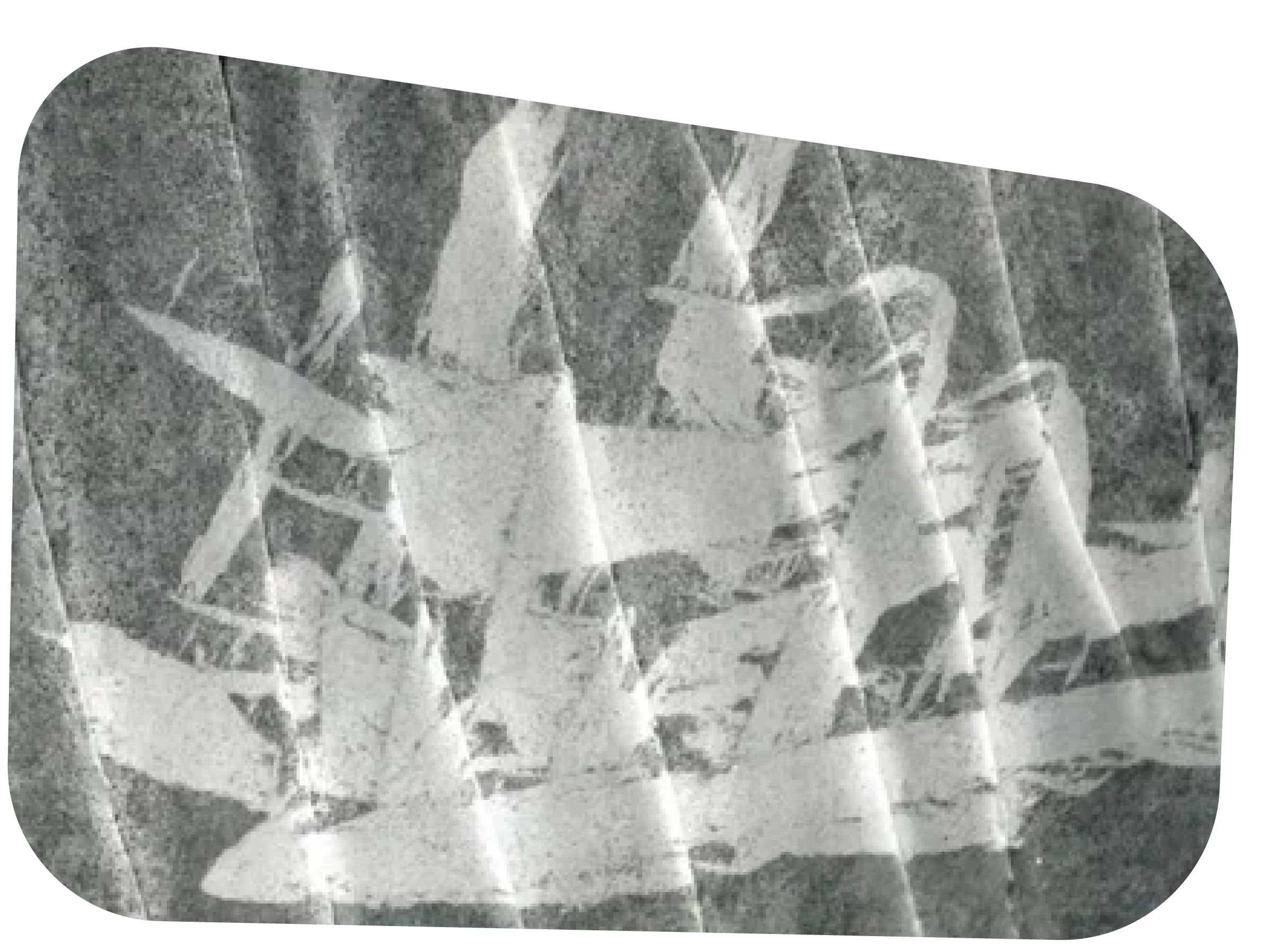 offcuts-ola-03.png