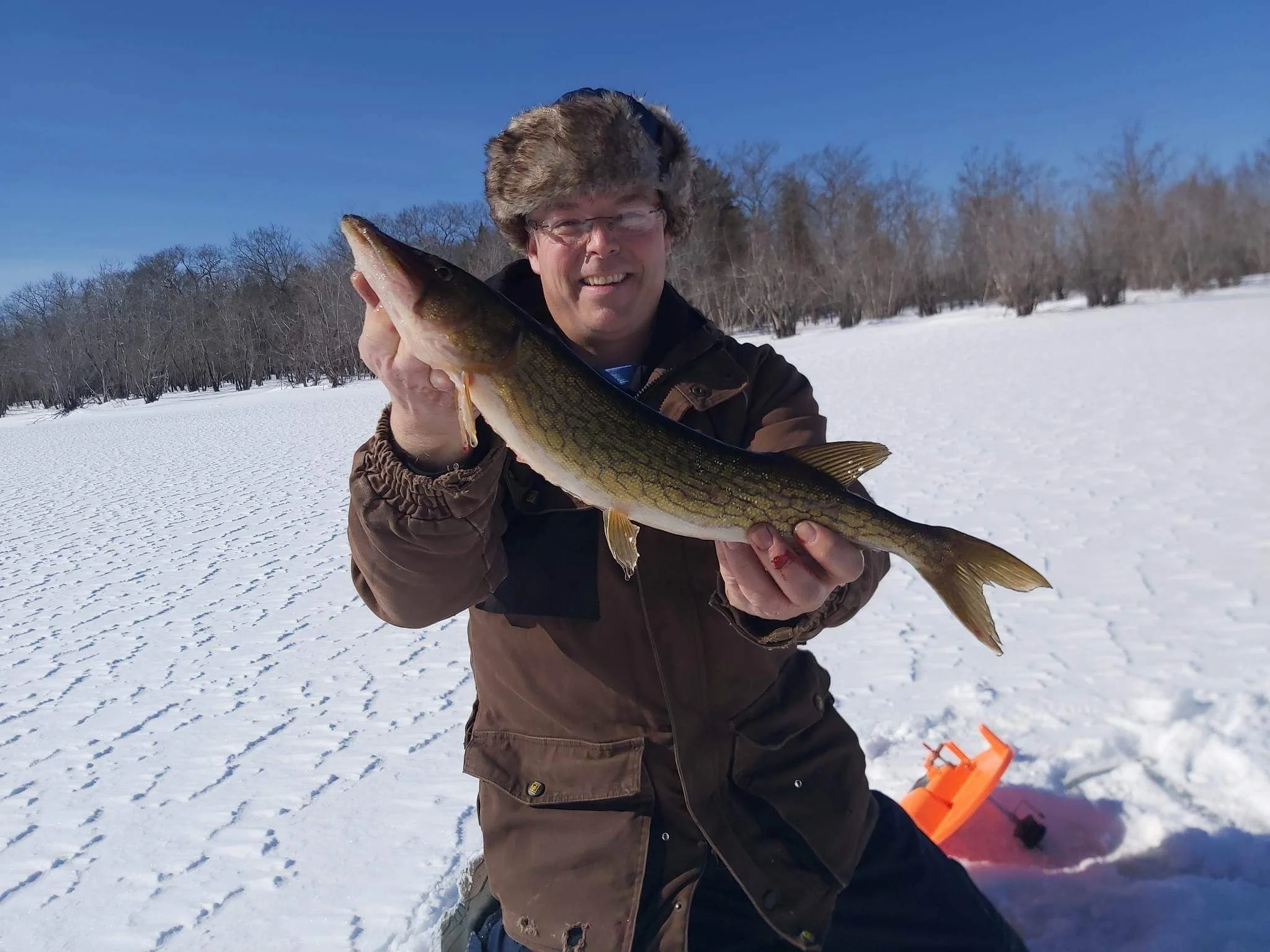 A man wearing a fur hat and winter clothing, smiling, holds a large fish over a snowy landscape with leafless trees and a clear sky.