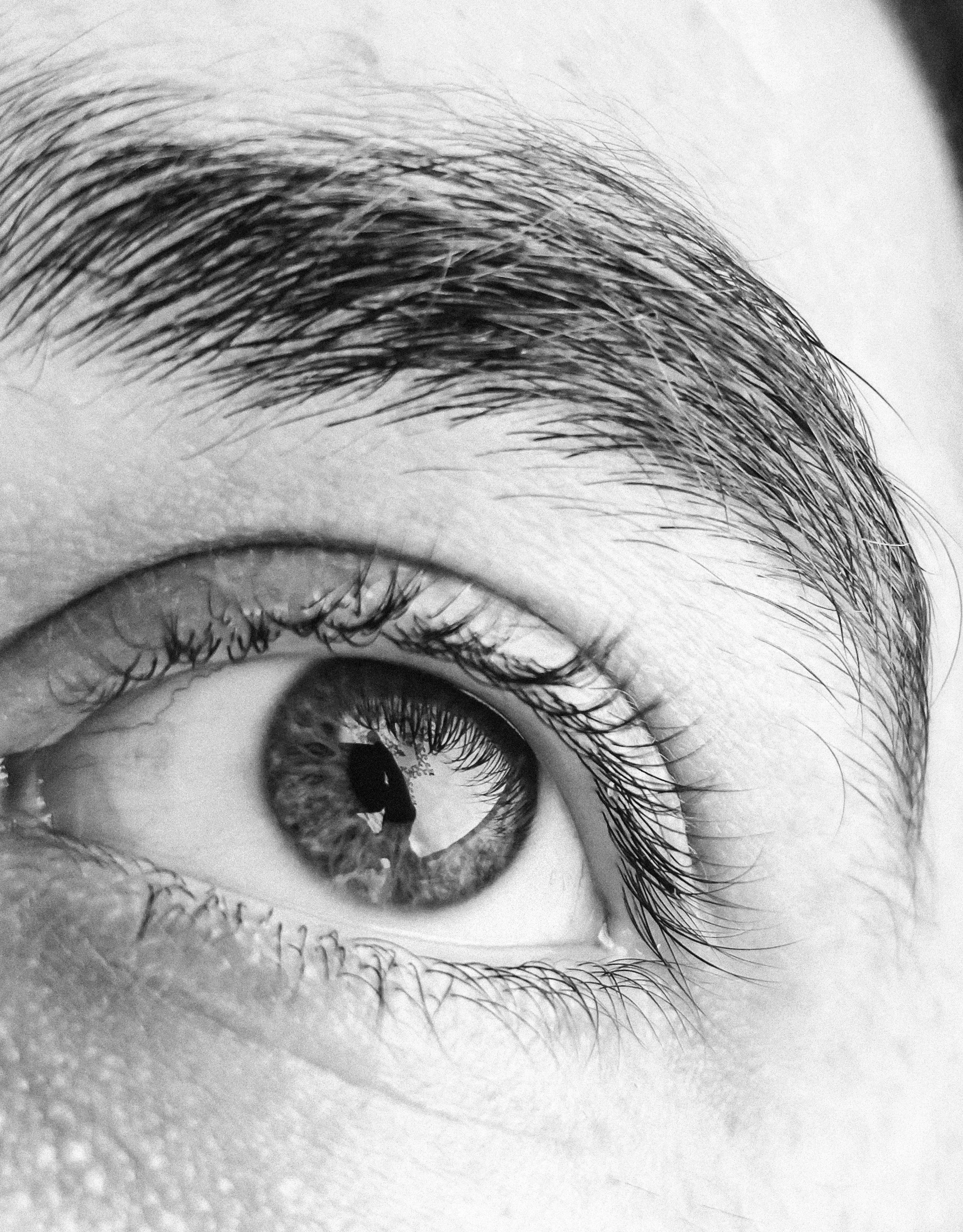 Close-up of a human eye with detailed eyelashes and eyebrows in black and white, reflecting a person taking the photo.