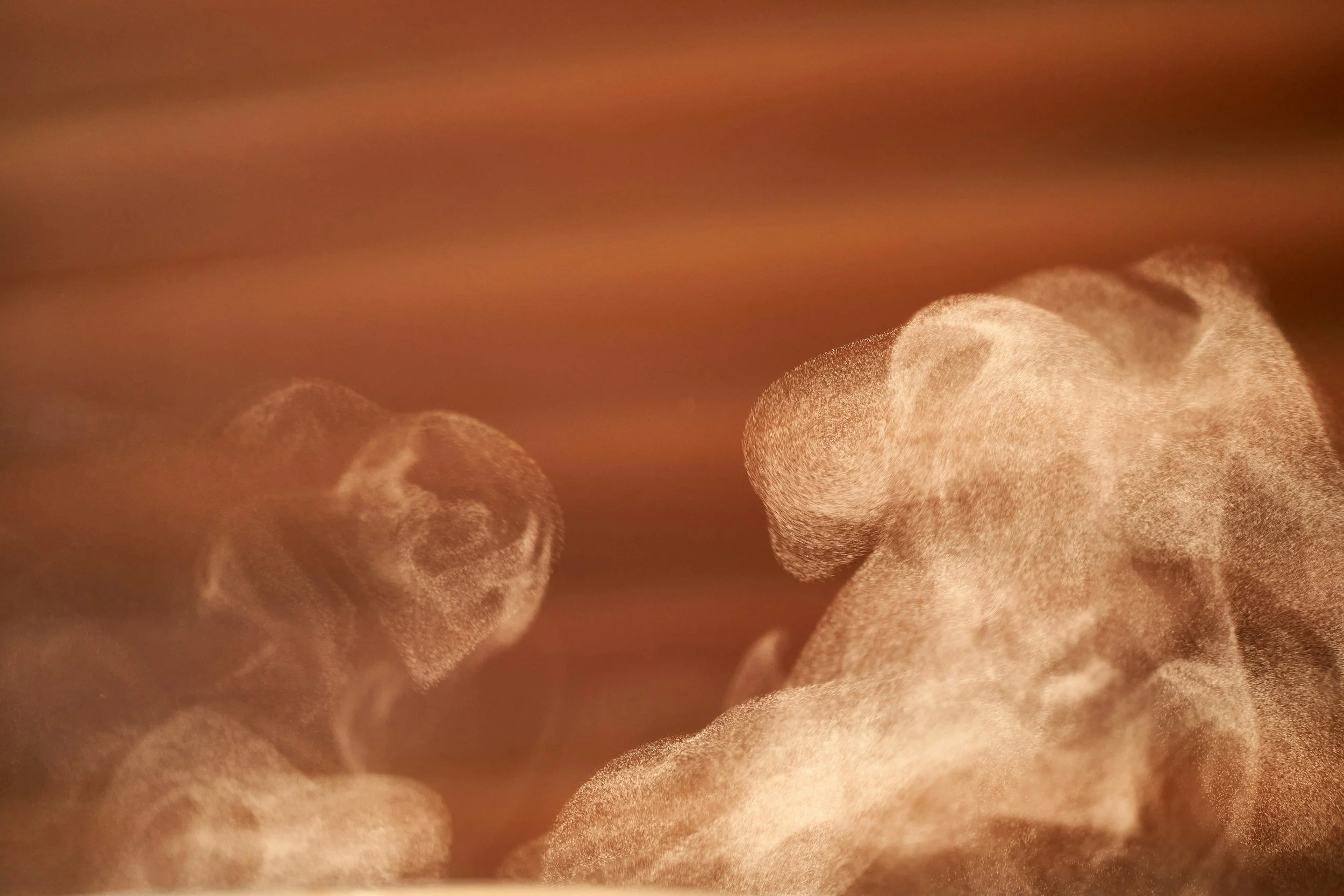 receive a customized facial with steam in Tempe Arizona