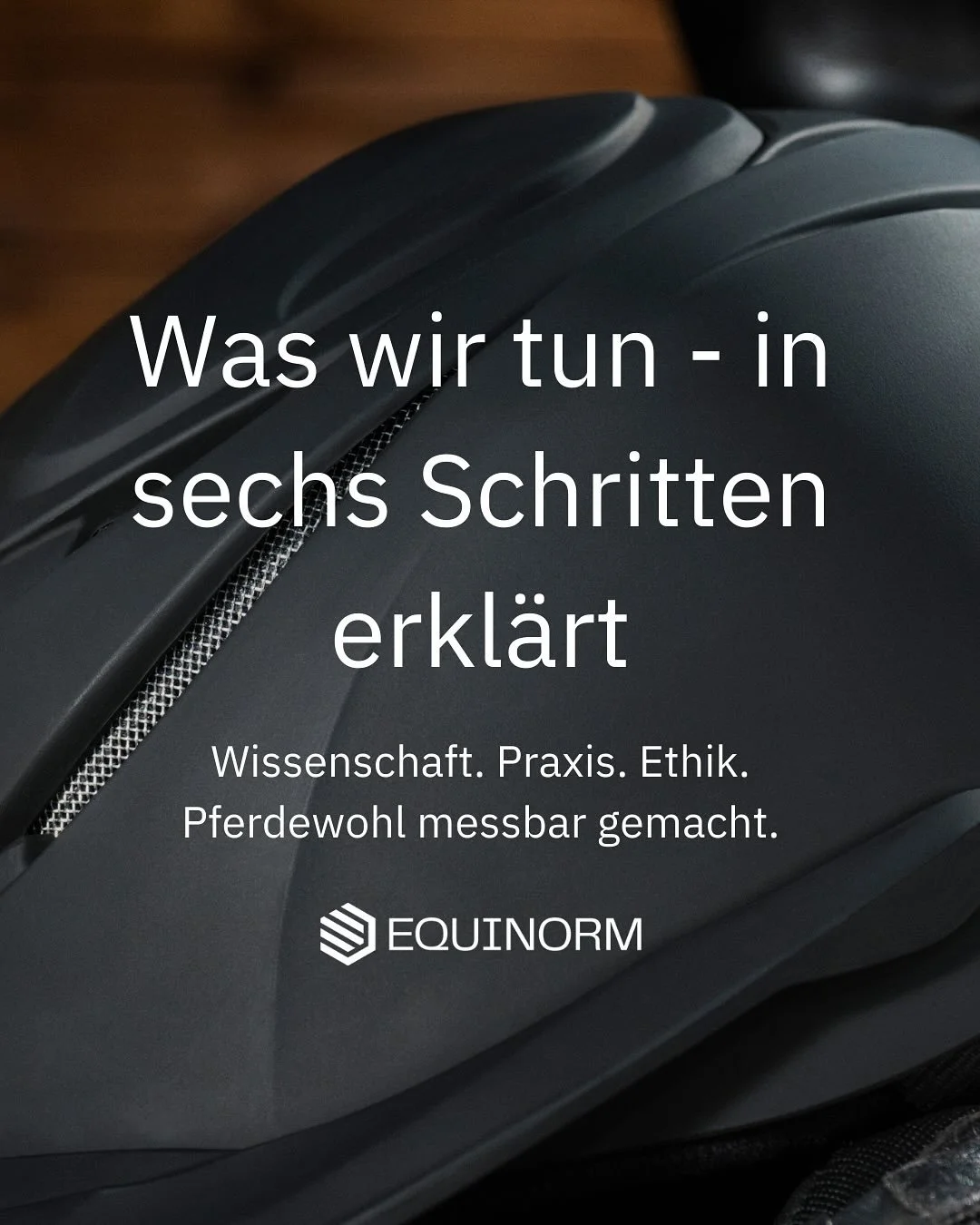 EQUINORM entwickelt Standards, die bisher im Reitsport fehlen: Eine gemeinsame, unabh&auml;ngige Grundlage f&uuml;r messbares Pferdewohl.

In den n&auml;chsten Wochen erl&auml;utern wir:

🔎 Wie die Expertengruppe arbeitet

🔎 Was eine Norm konkret b