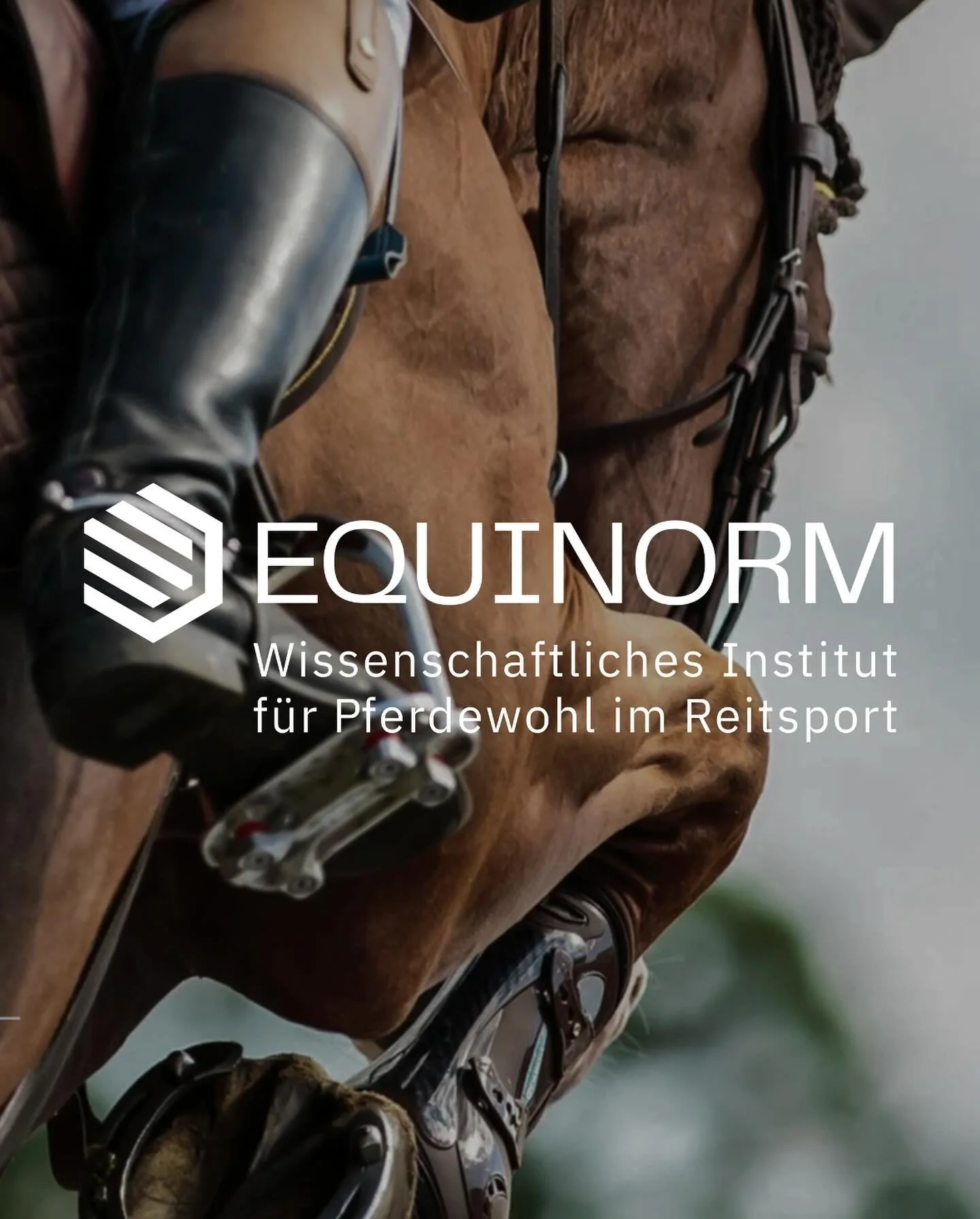 🎉 EQUINORM - Wissenschaftliches Institut f&uuml;r Pferdewohl im Reitsport ist LIVE!

Gesellschaft, Wissenschaft und &Ouml;ffentlichkeit fordern glaubw&uuml;rdige Antworten auf die Frage: Was bedeutet artgerechter Umgang, was bedeutet gutes Reiten &n