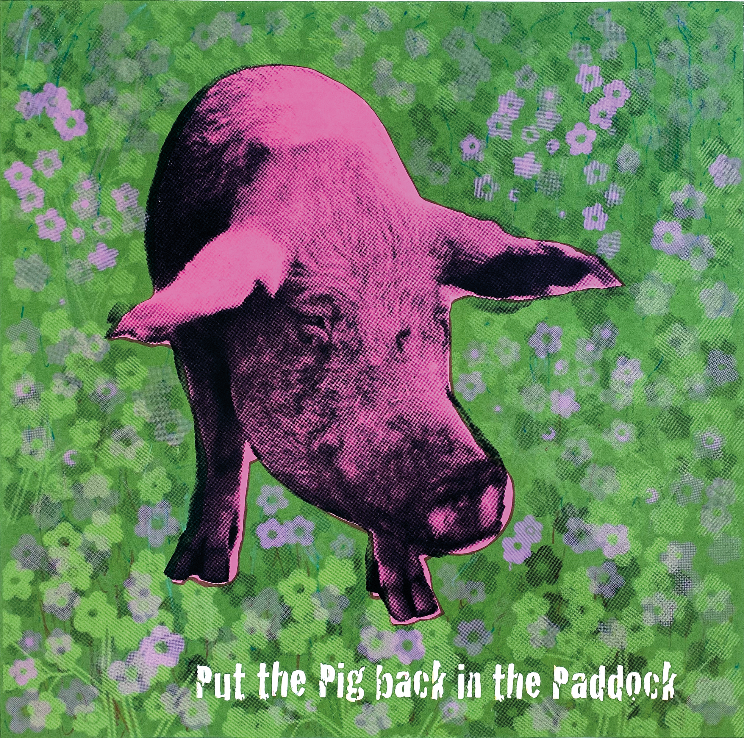 Pig in the Paddock. 2007. Limited edition screenprint