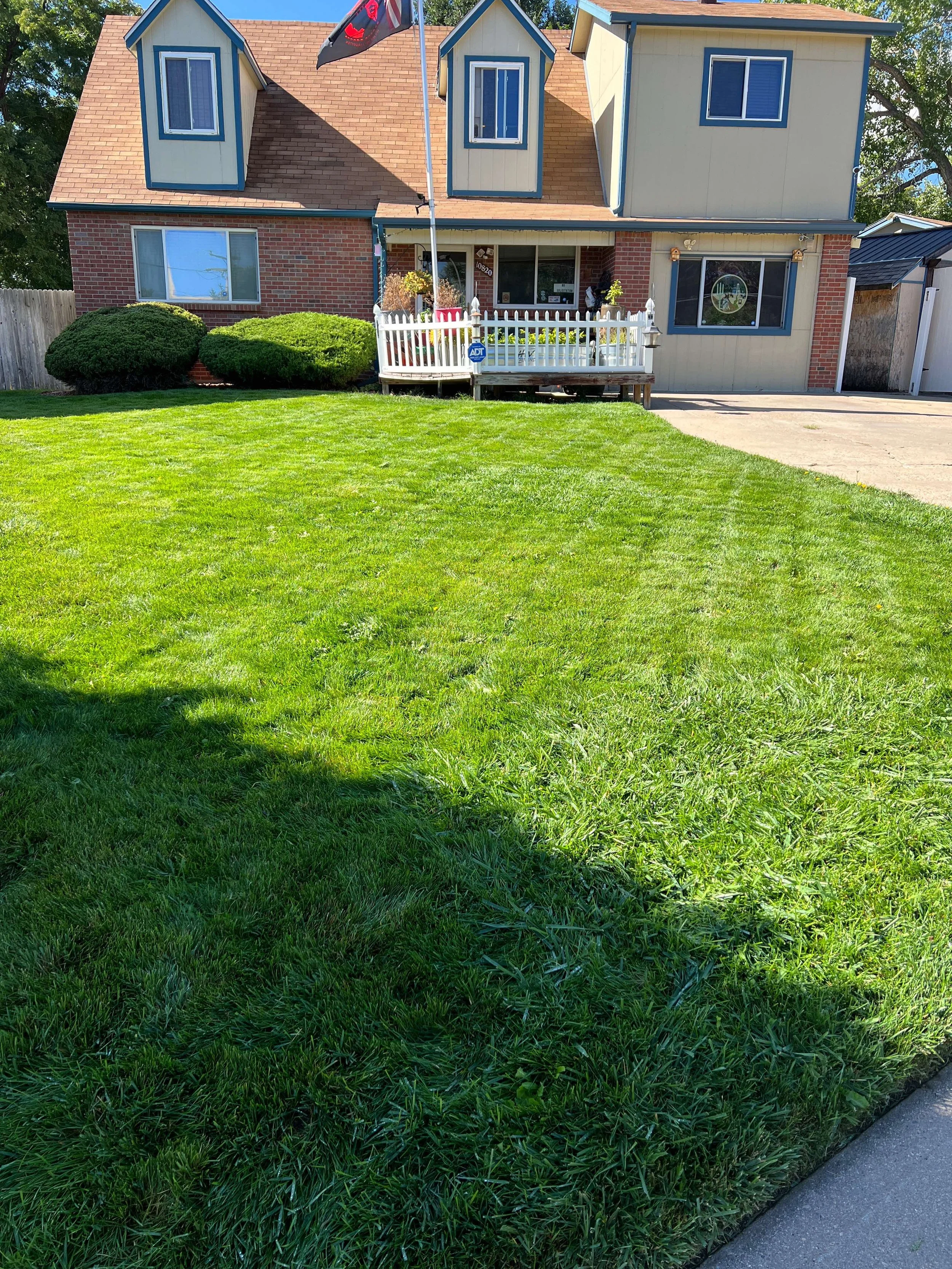 Manicured Green Lawn with Lawn Lines & Shaped Bushes in Jefferson County by True Landscape Care