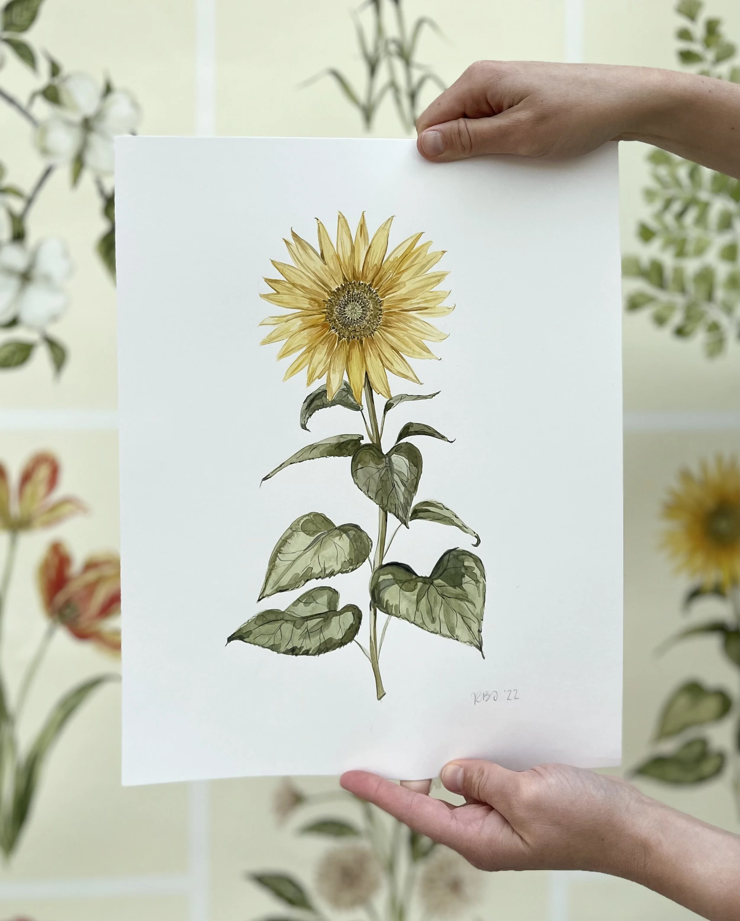 Introducing the 2022 Botanical Collection