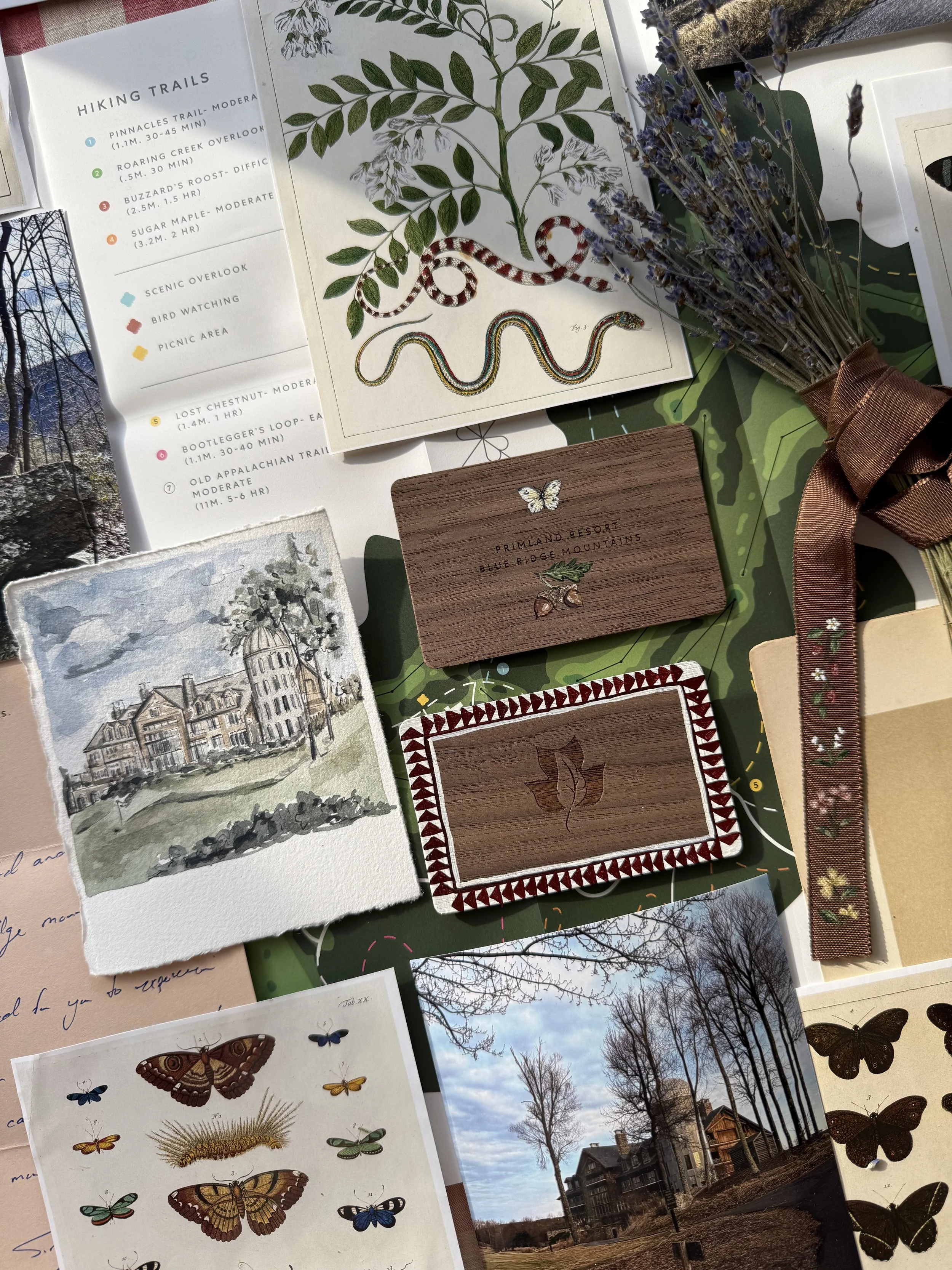 A Trip to the Blue Ridge Mountains: Primland Auberge Summer 2025