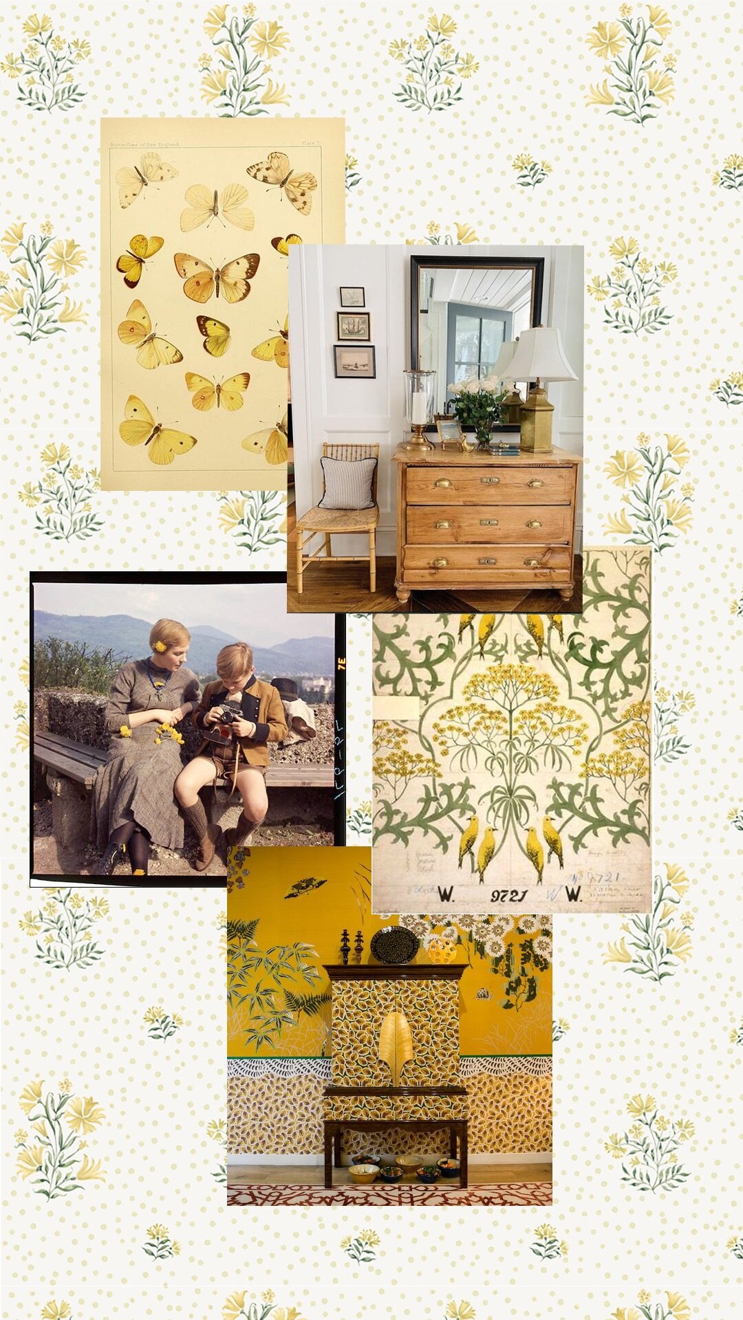 Chamomile Moodboard.jpg