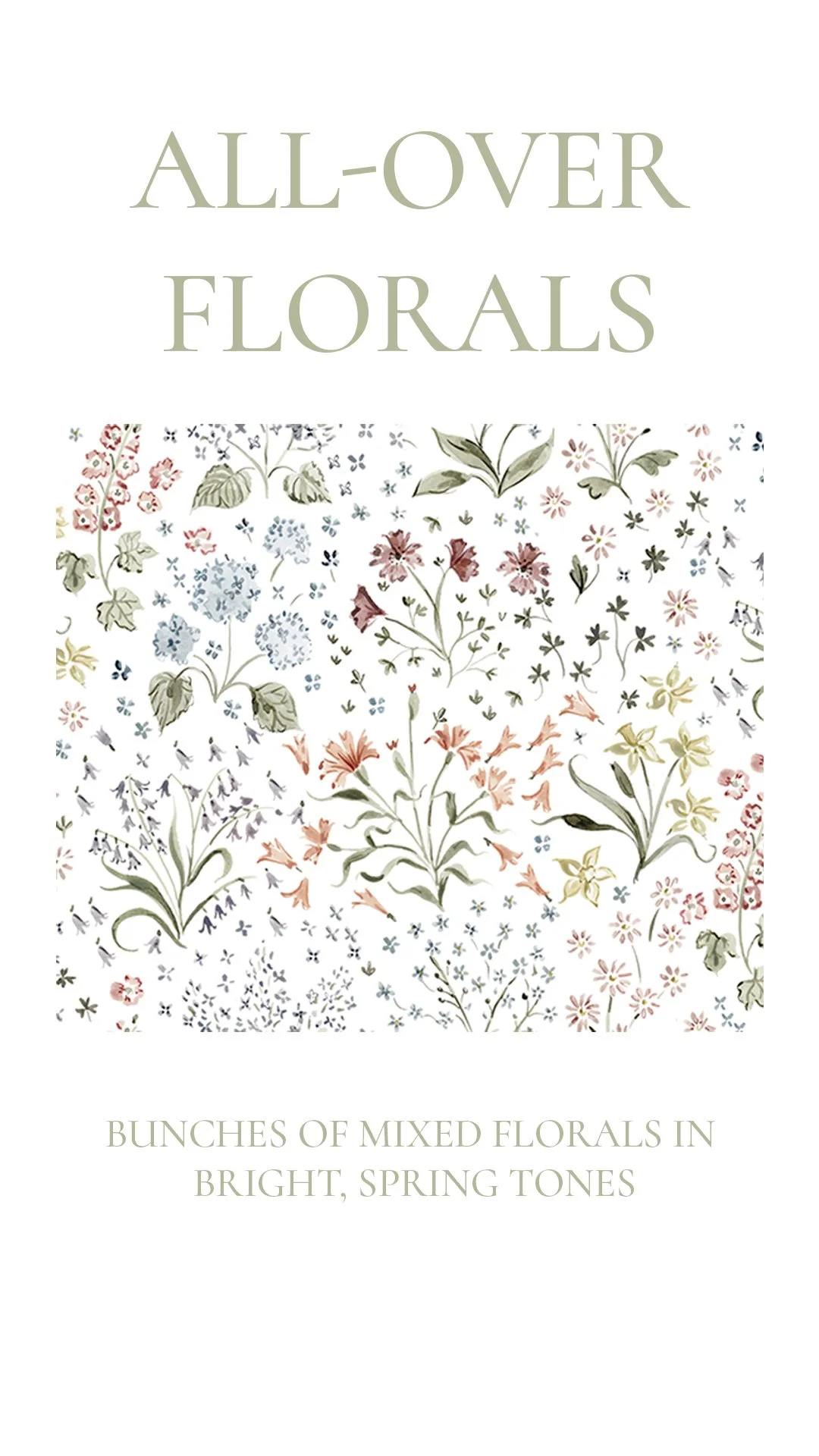 Solly Baby Sketchbook 4.jpg