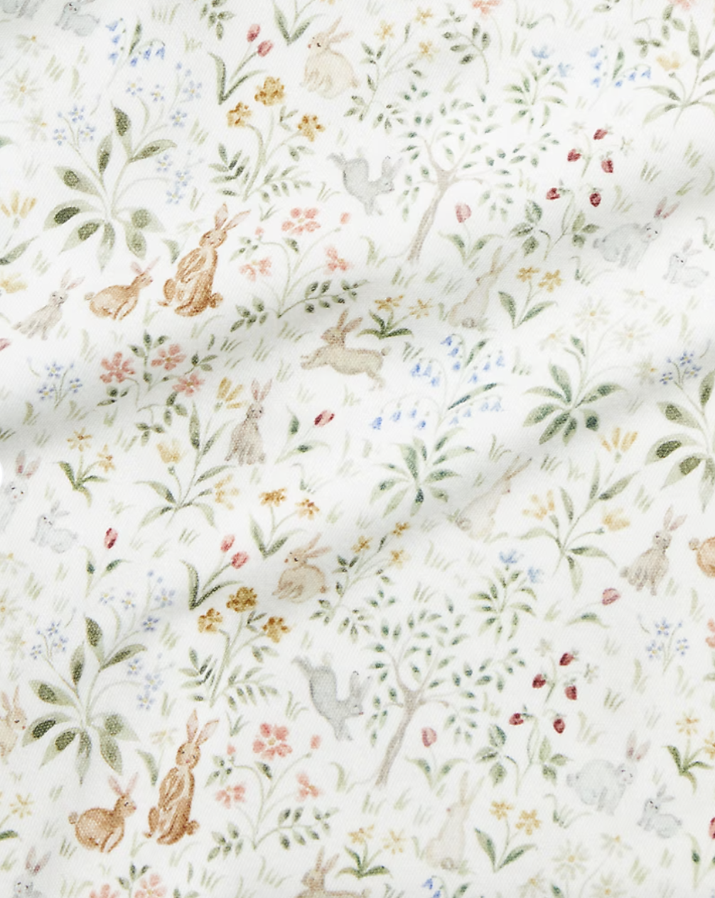 Screenshot 2025-02-05 at 12.22.59 PM.png