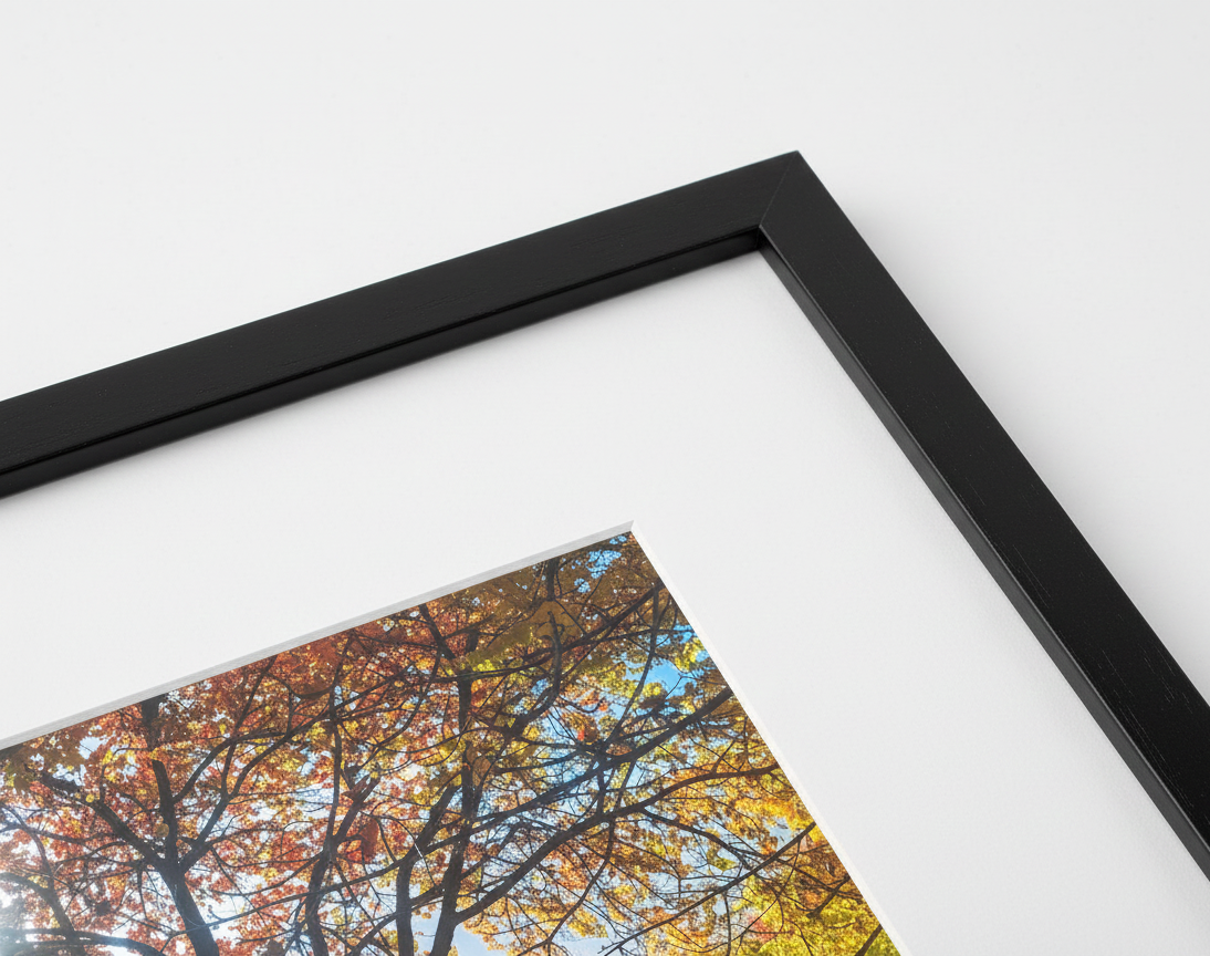 A2 Museum Framing Upgrade — Limited Edition Prints