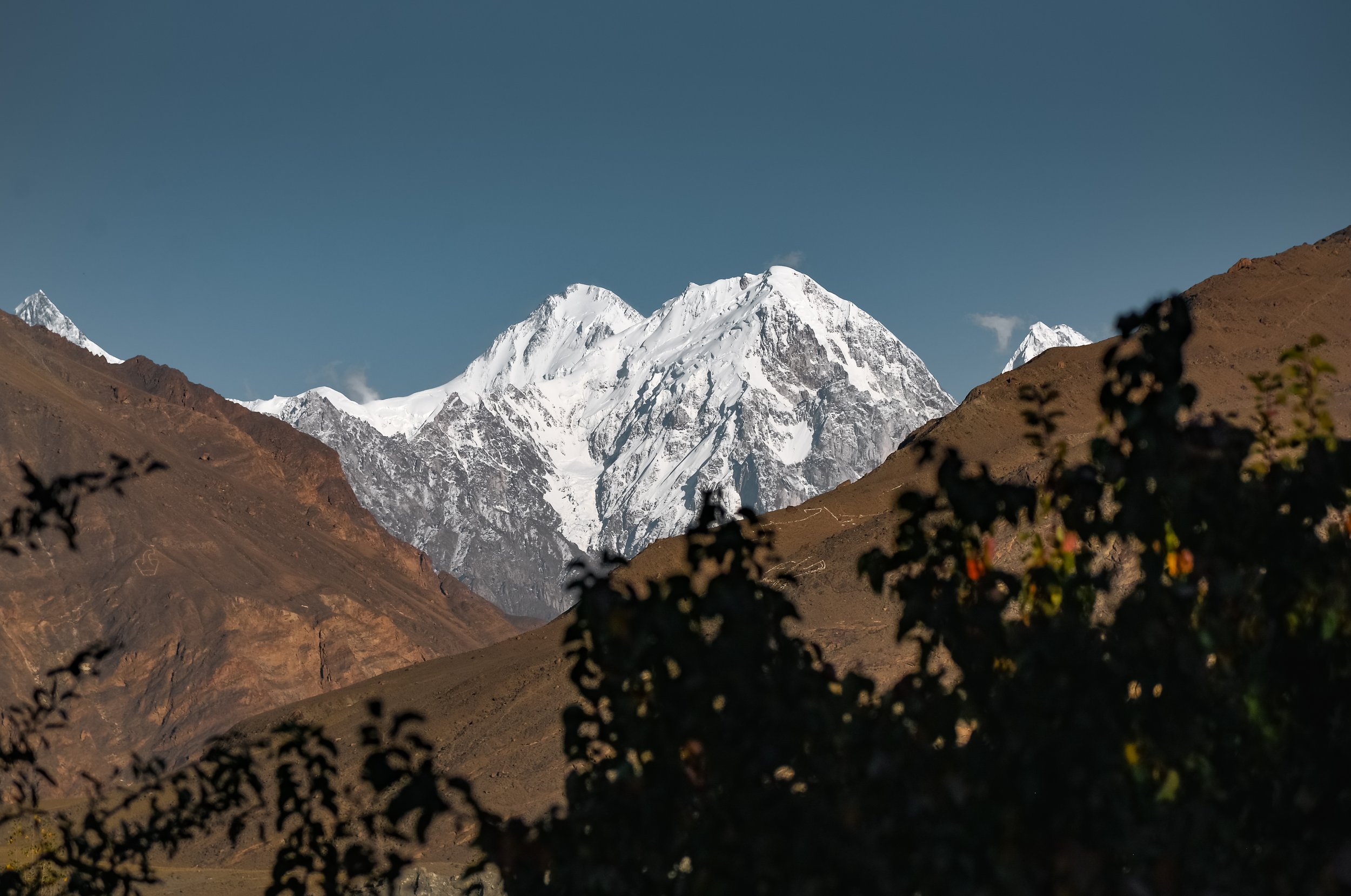 Snow-capped mountain peaks behind brown hillside with some dark foliage in the foreground under a clear blue sky.