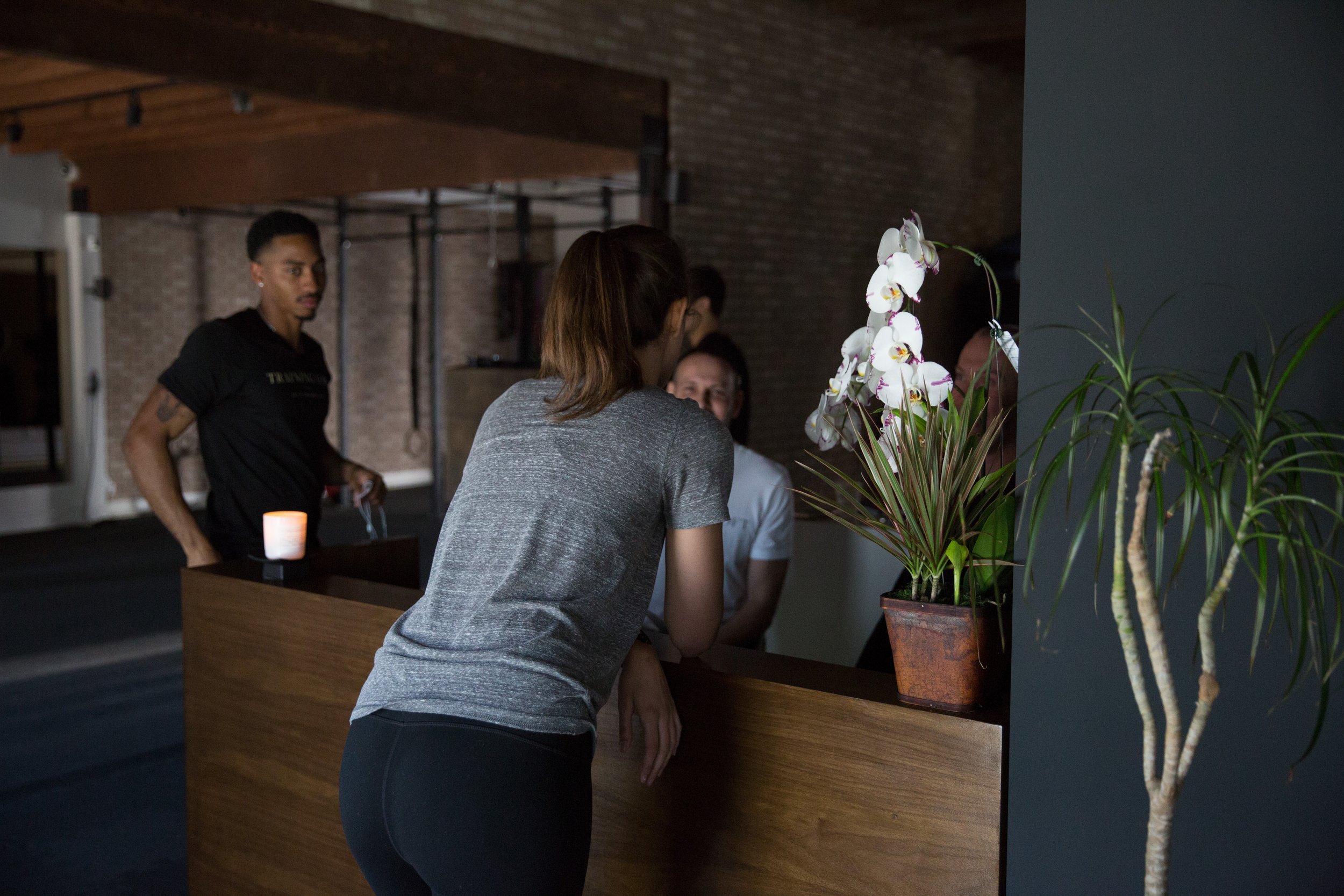 full renovation of a private personal training studio in los angeles, ca designed by talia laconi
