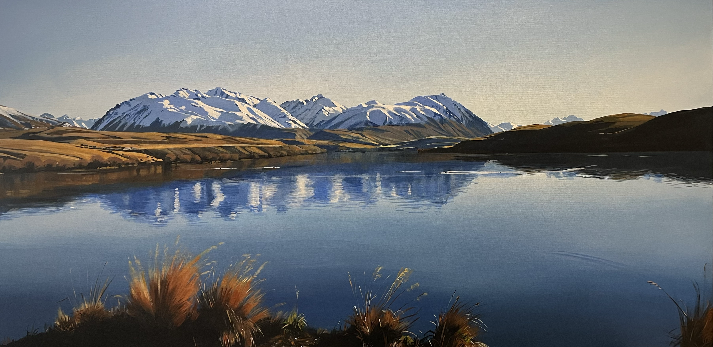 A scenic landscape with snow-capped mountains reflecting in a calm lake, with grassy hills and plants in the foreground.