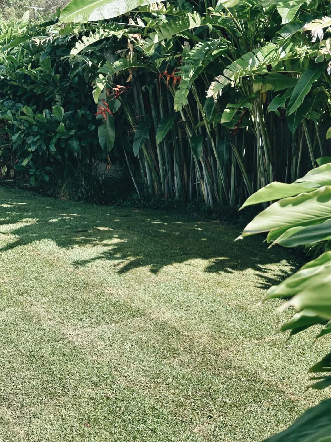 turfing Burleigh Heads