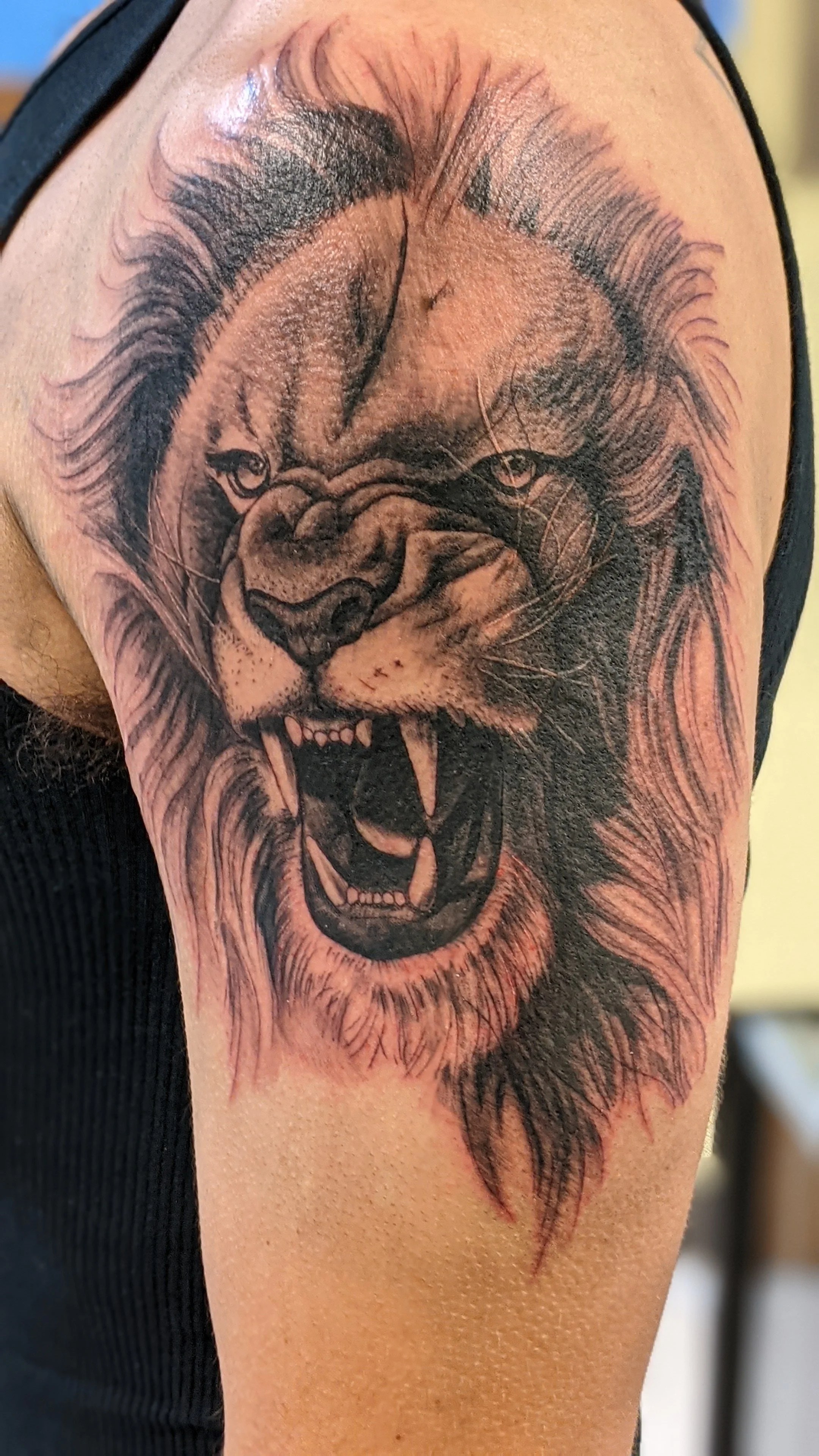 Tattoo of a roaring lion's face on a person's upper arm.