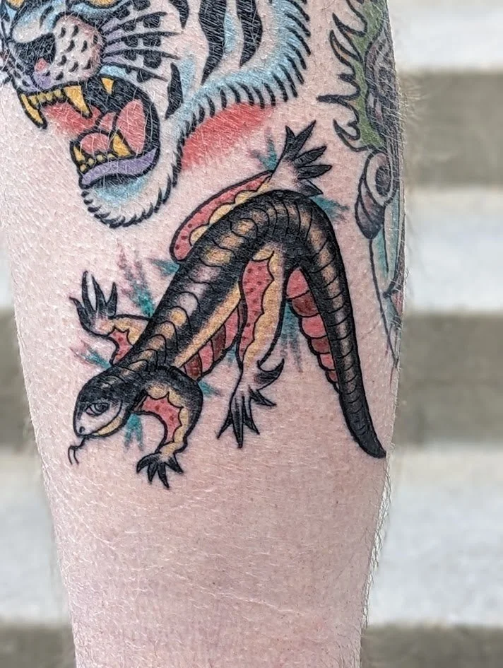 Tattoo of a lizard with a detailed face on a person's arm, with part of a tiger's face above it.