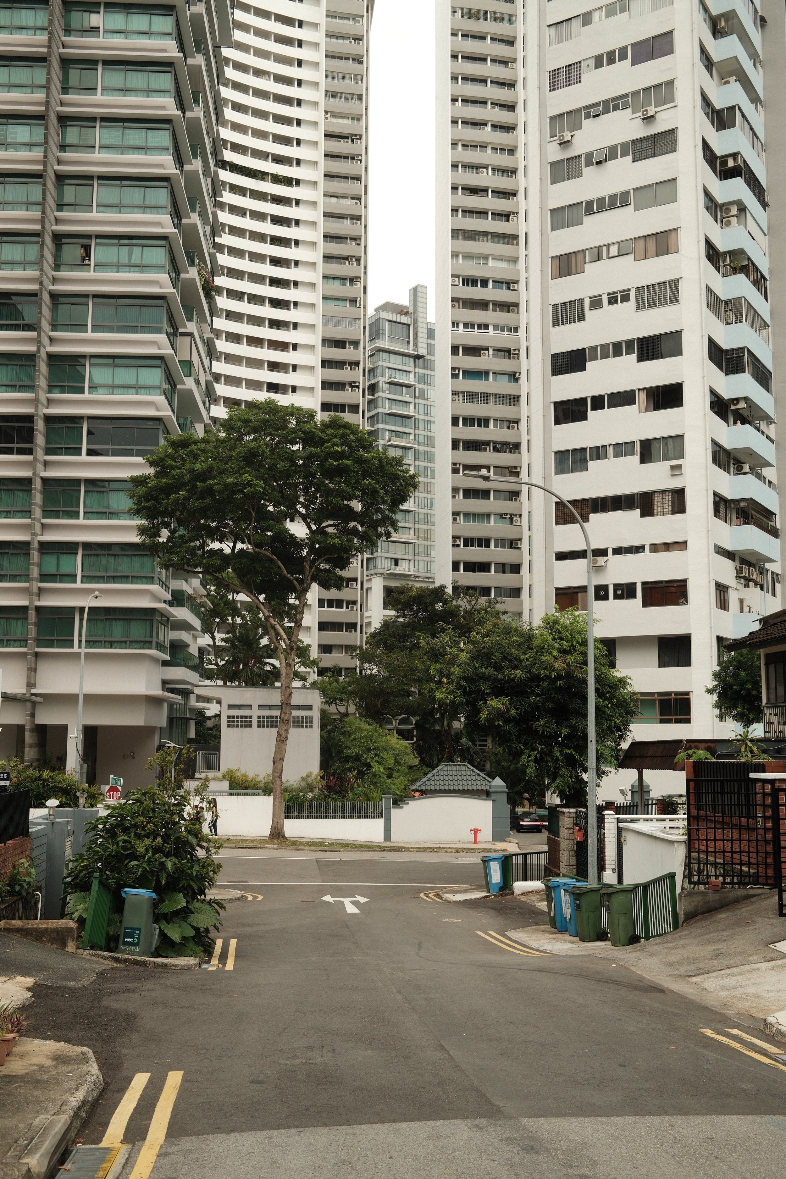 DSCF5519.JPG