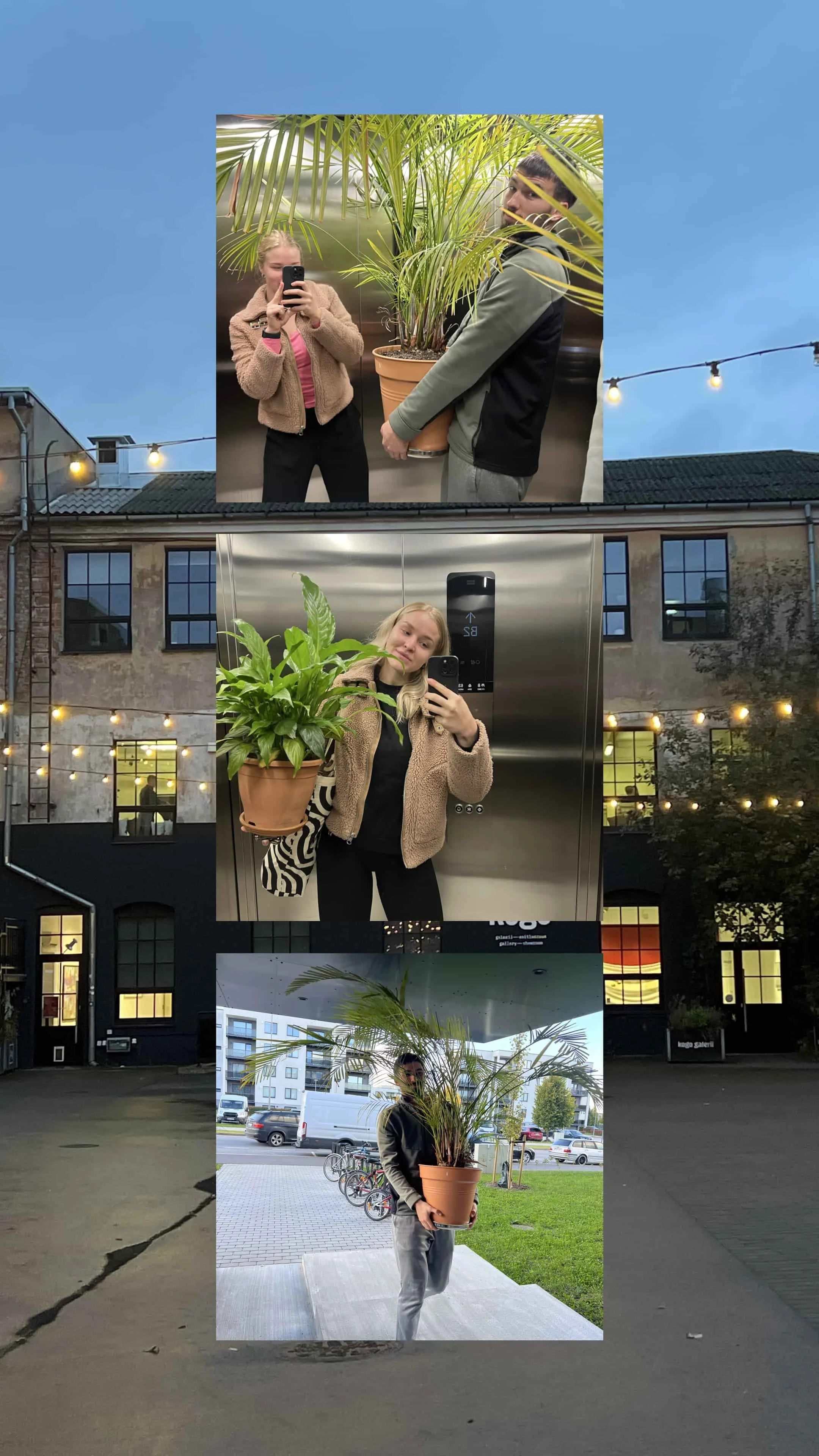 Kulisside taga – Reiko ja Triin kannavad suuri potitaimi uude stuudiosse. Aparaaditehase hoov ja liftist tehtud selfid, kus viiakse palme ja toataimi sisekujunduseks. Stuudio ettevalmistus ja sisekujunduse protsess.