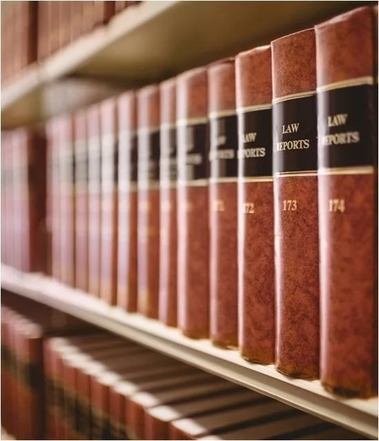 Section 117.05 Firearms Hearing: A Challenge to Firearm Possession in Dupree