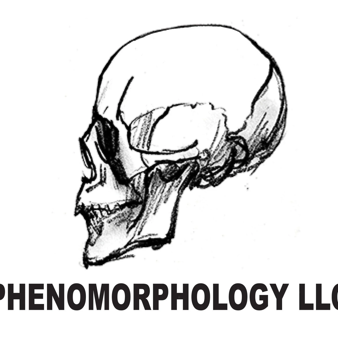 https://www.phenomorphologyllc.com/store-1