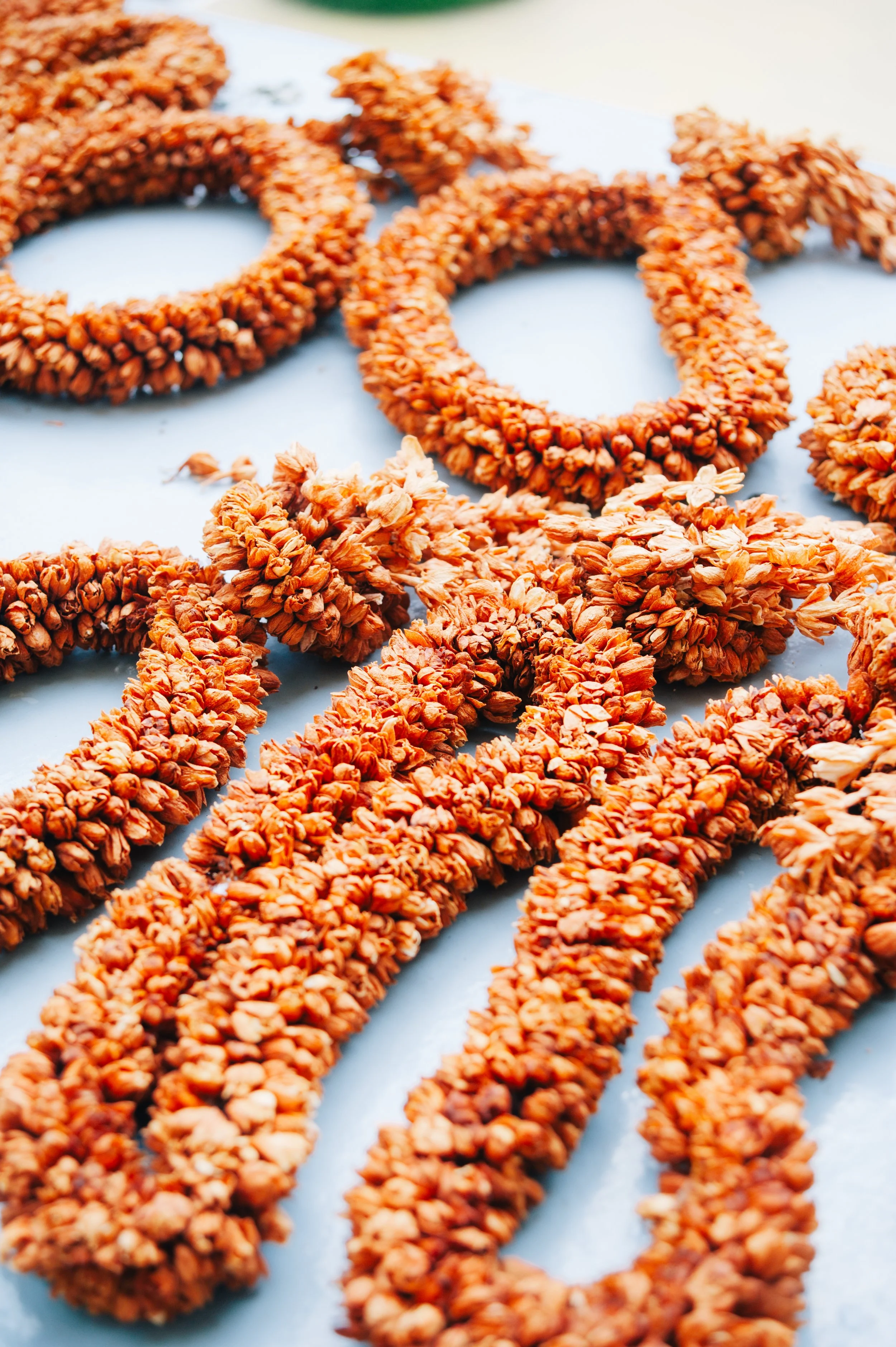 Dried jasmins for the king